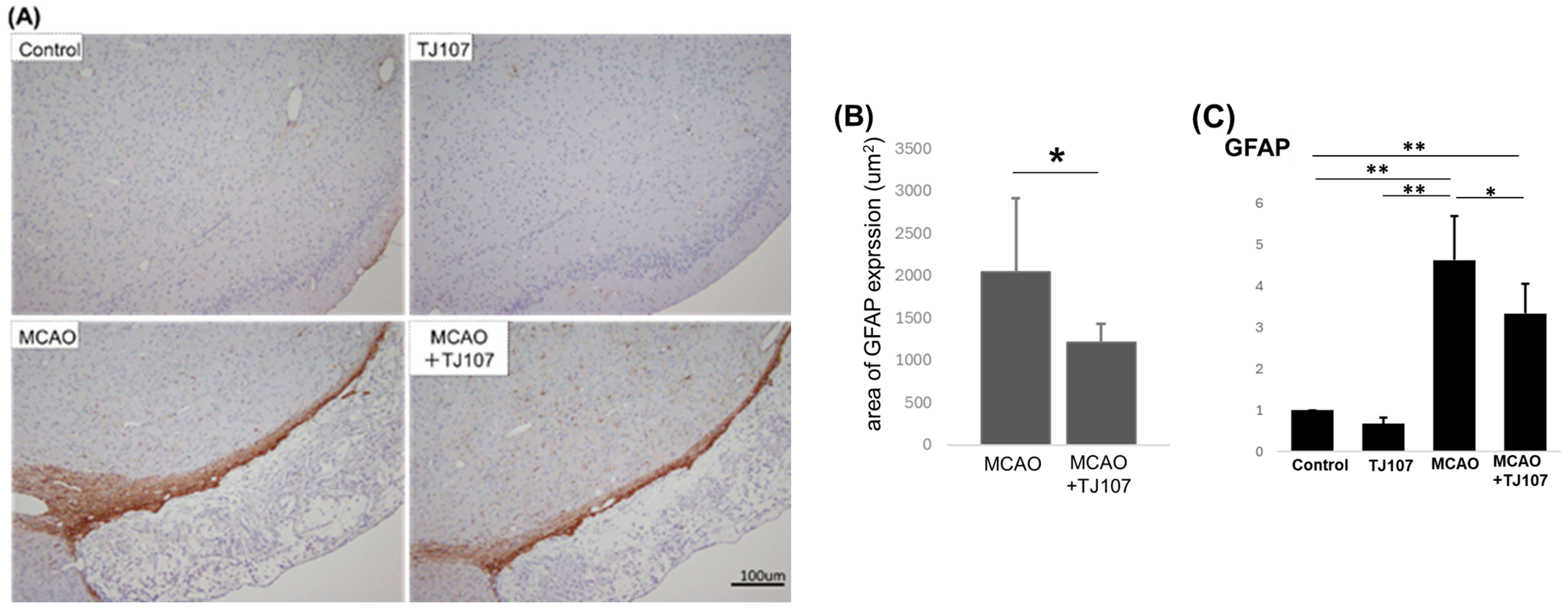 Biomolecules 15 01136 g004