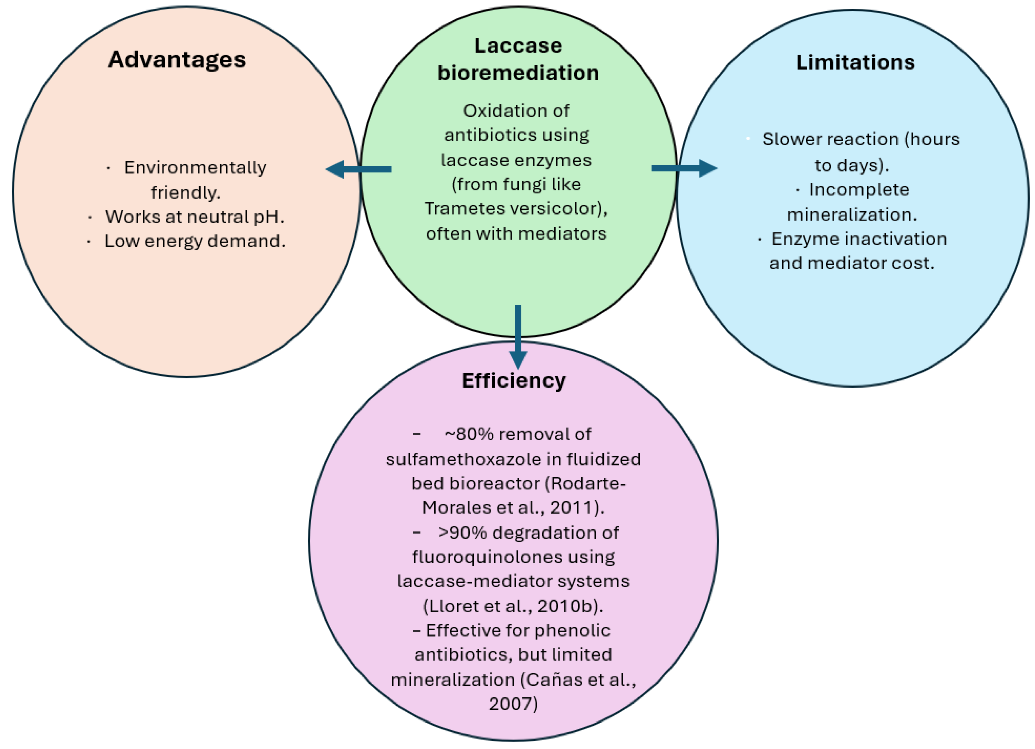 Biomolecules 15 01138 g003 Biomolecules 15 01138 g003