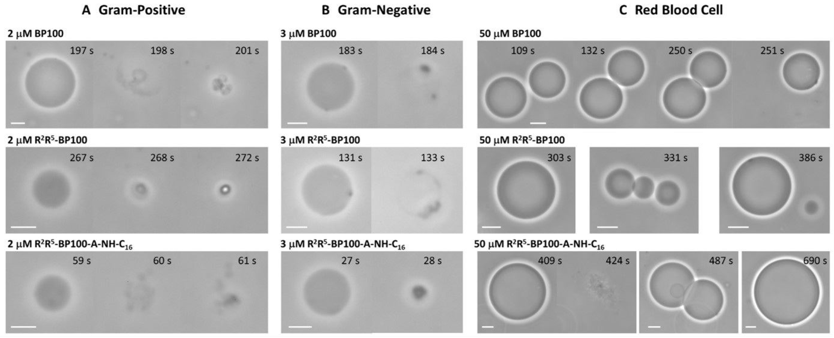Biomolecules 15 01143 g009