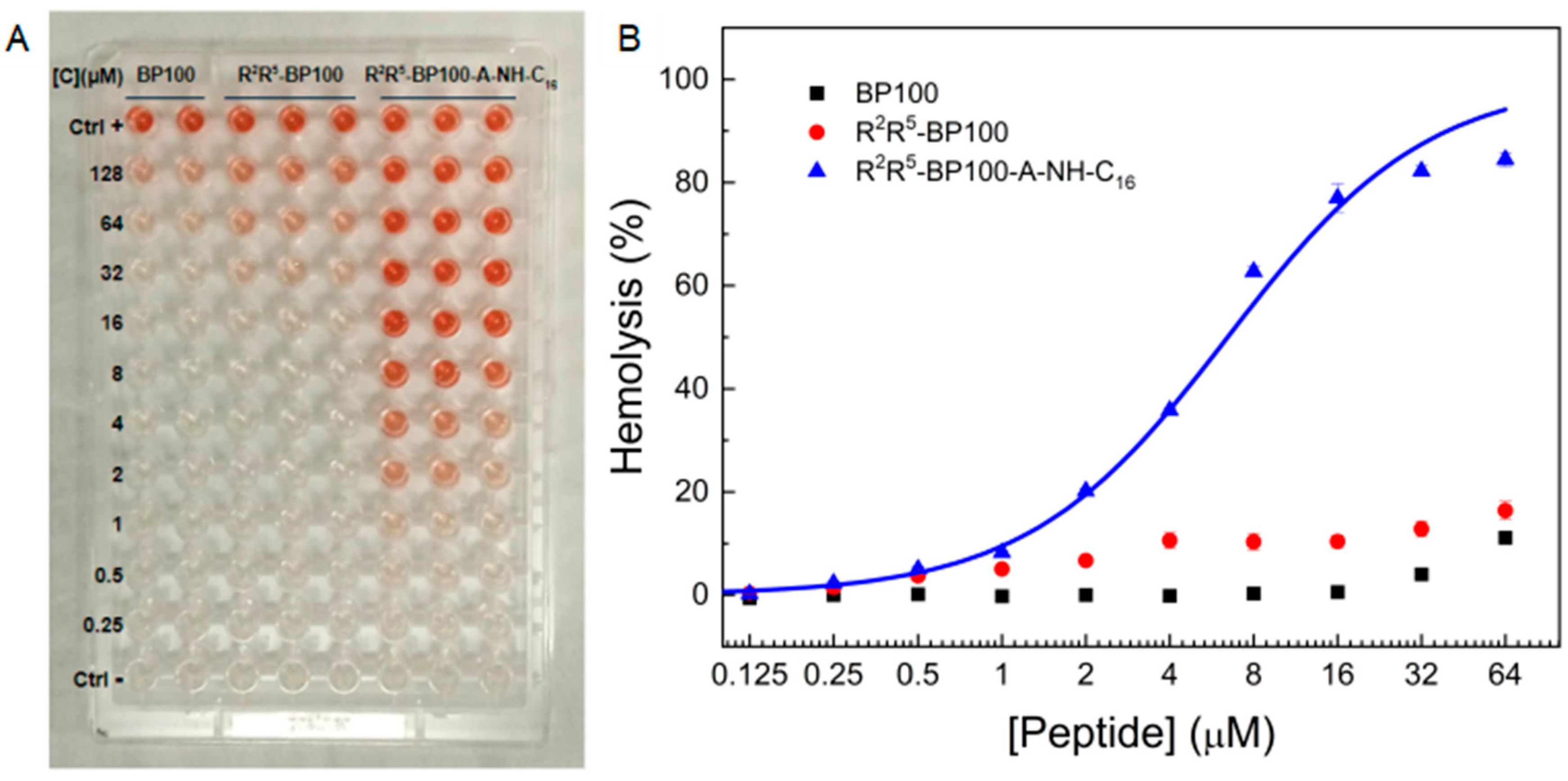 Biomolecules 15 01143 g010