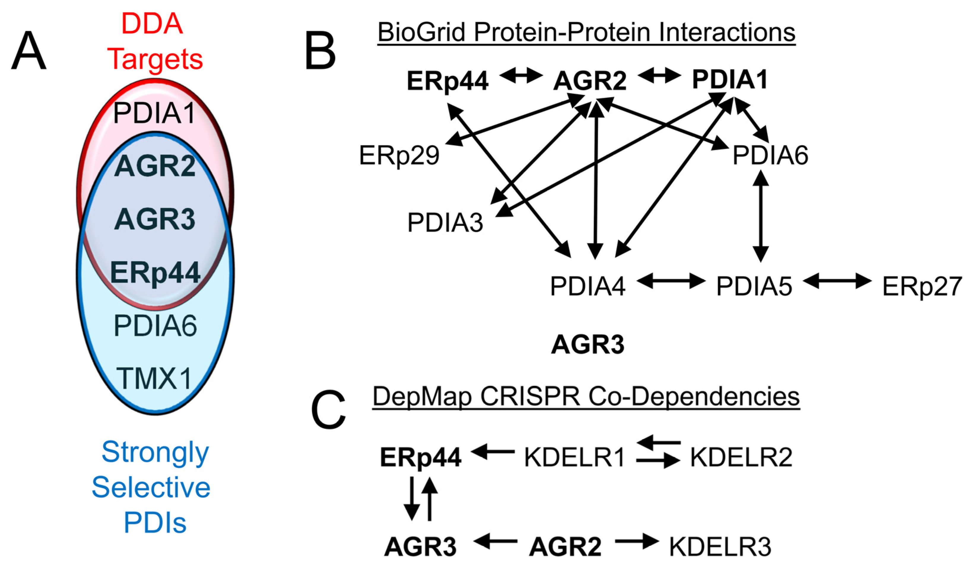 Biomolecules 15 01146 g003