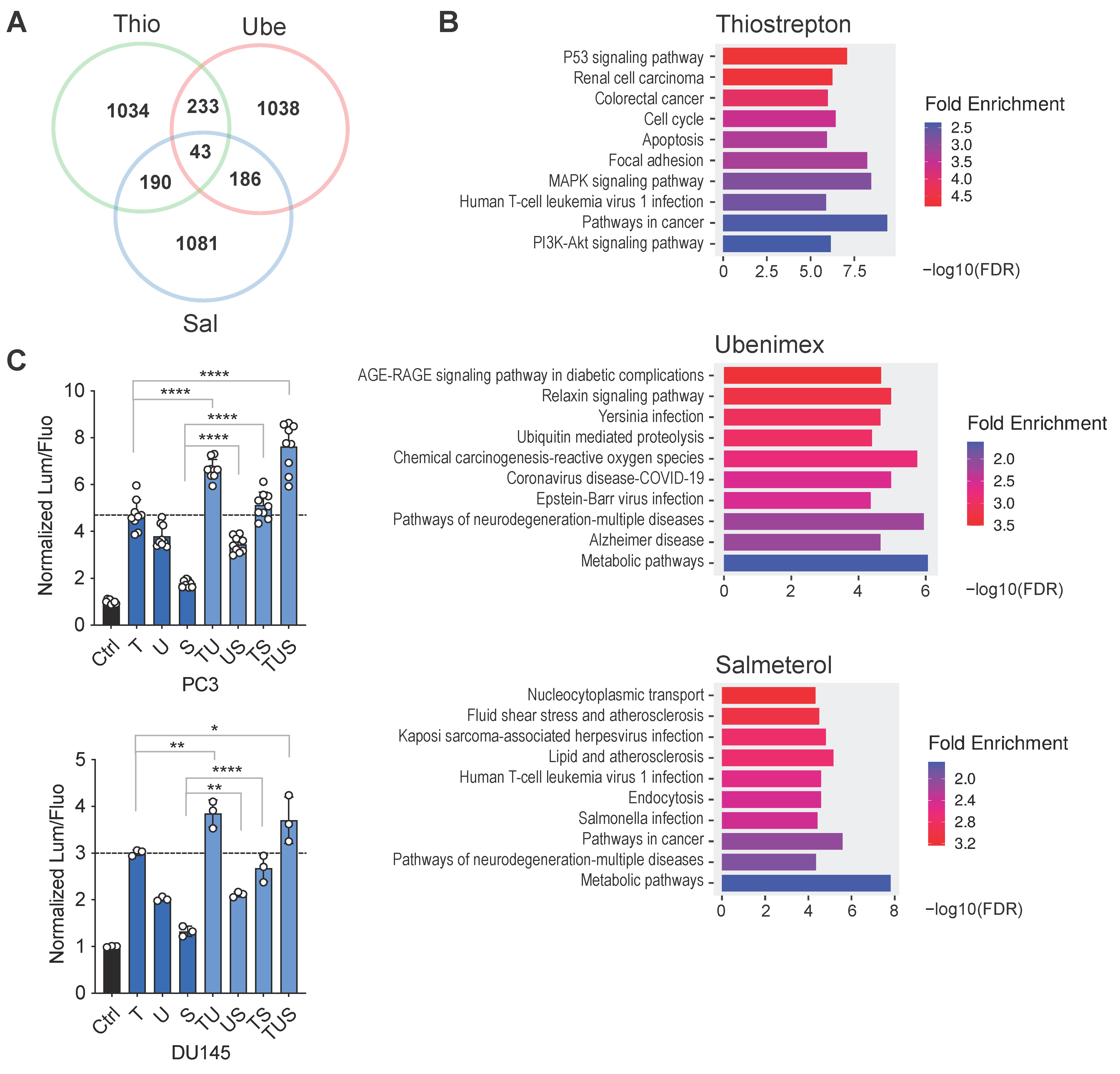 Biomolecules 15 01147 g002 Biomolecules 15 01147 g002