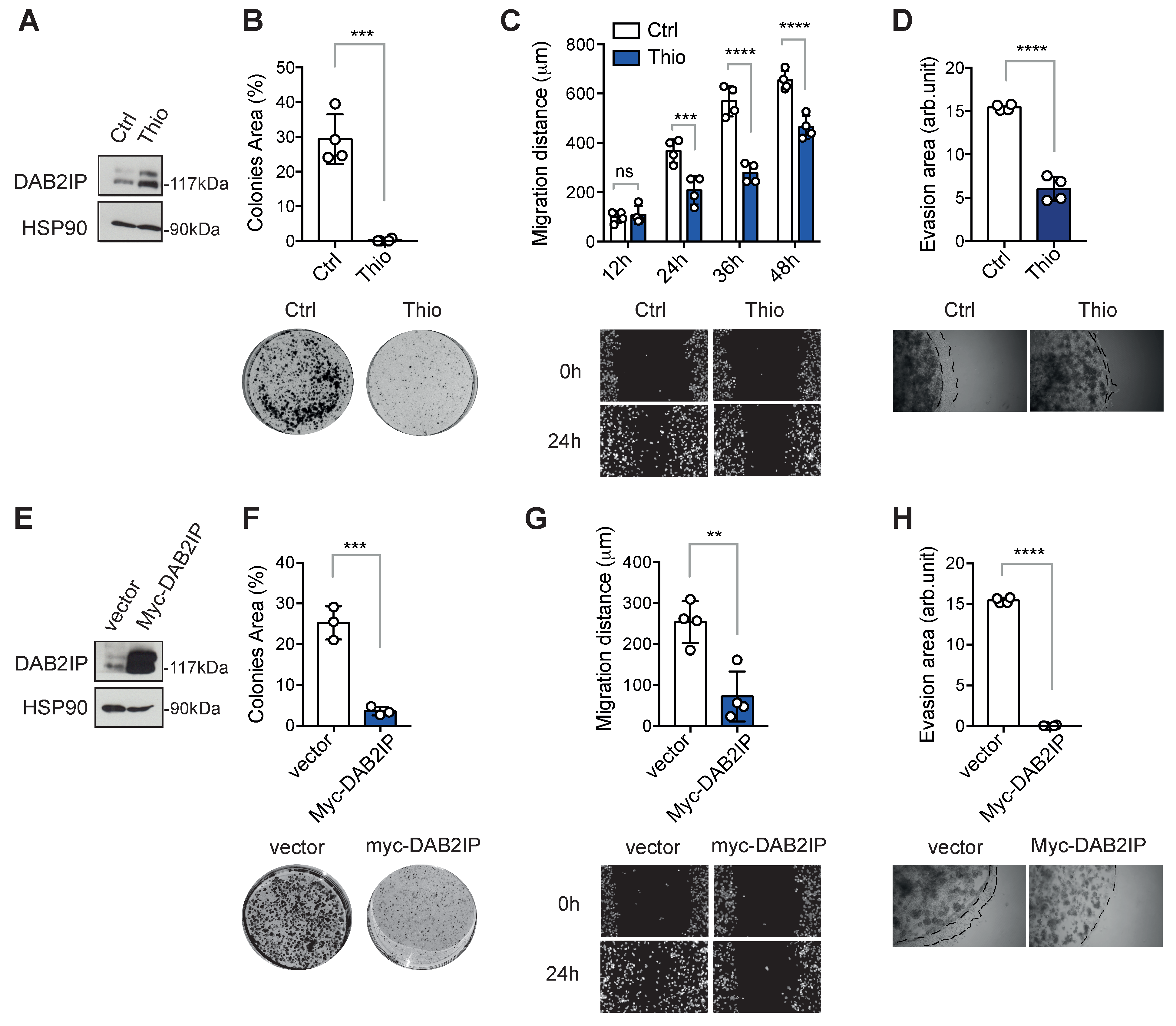 Biomolecules 15 01147 g004 Biomolecules 15 01147 g004