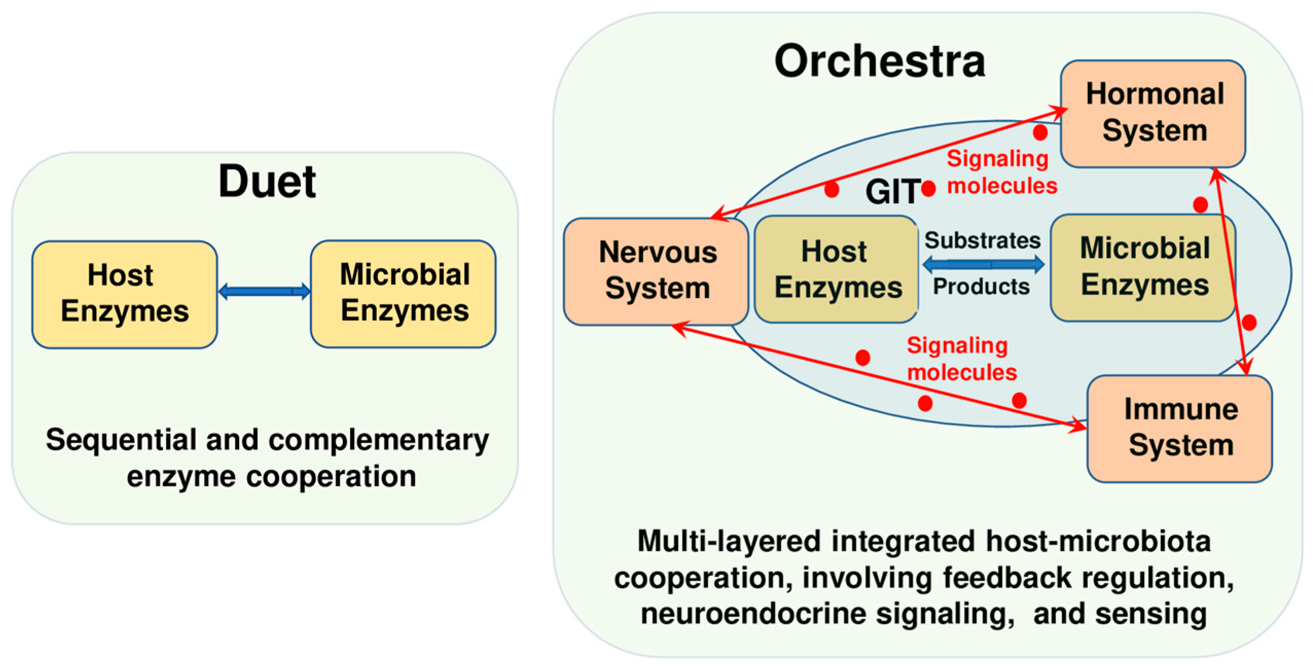 Biomolecules 15 01151 g001 Biomolecules 15 01151 g001
