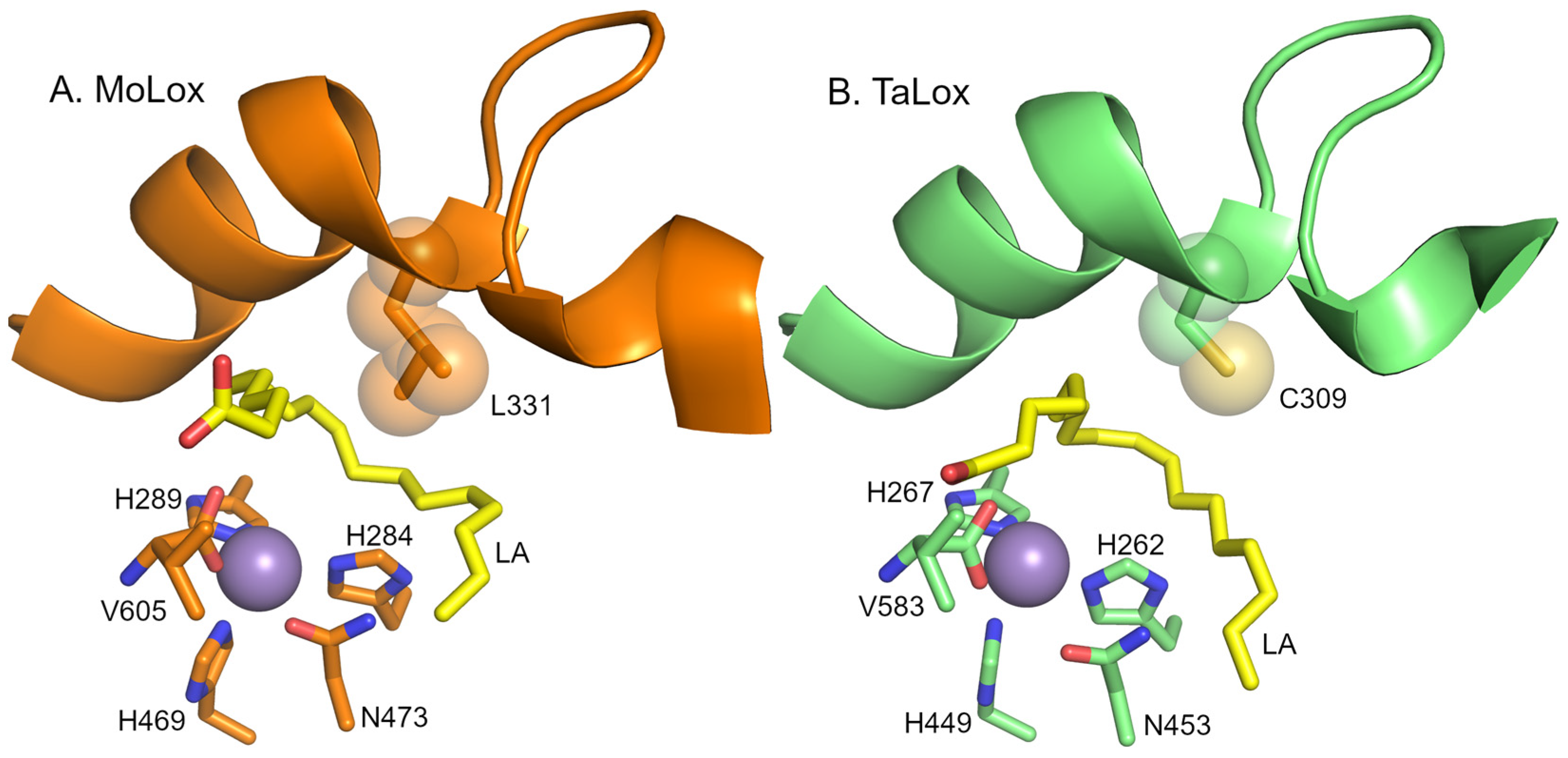 Biomolecules 15 01153 g001