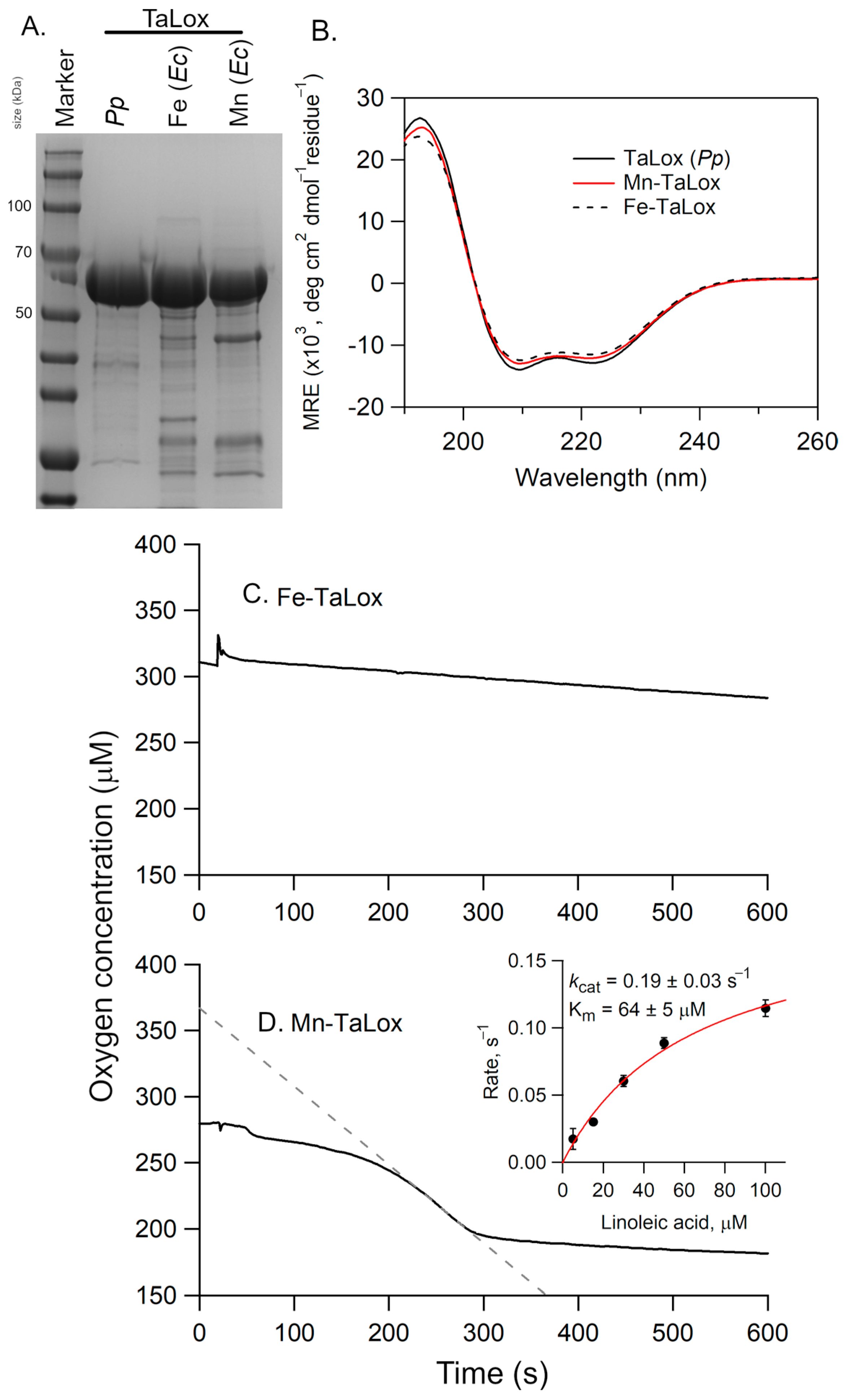 Biomolecules 15 01153 g005