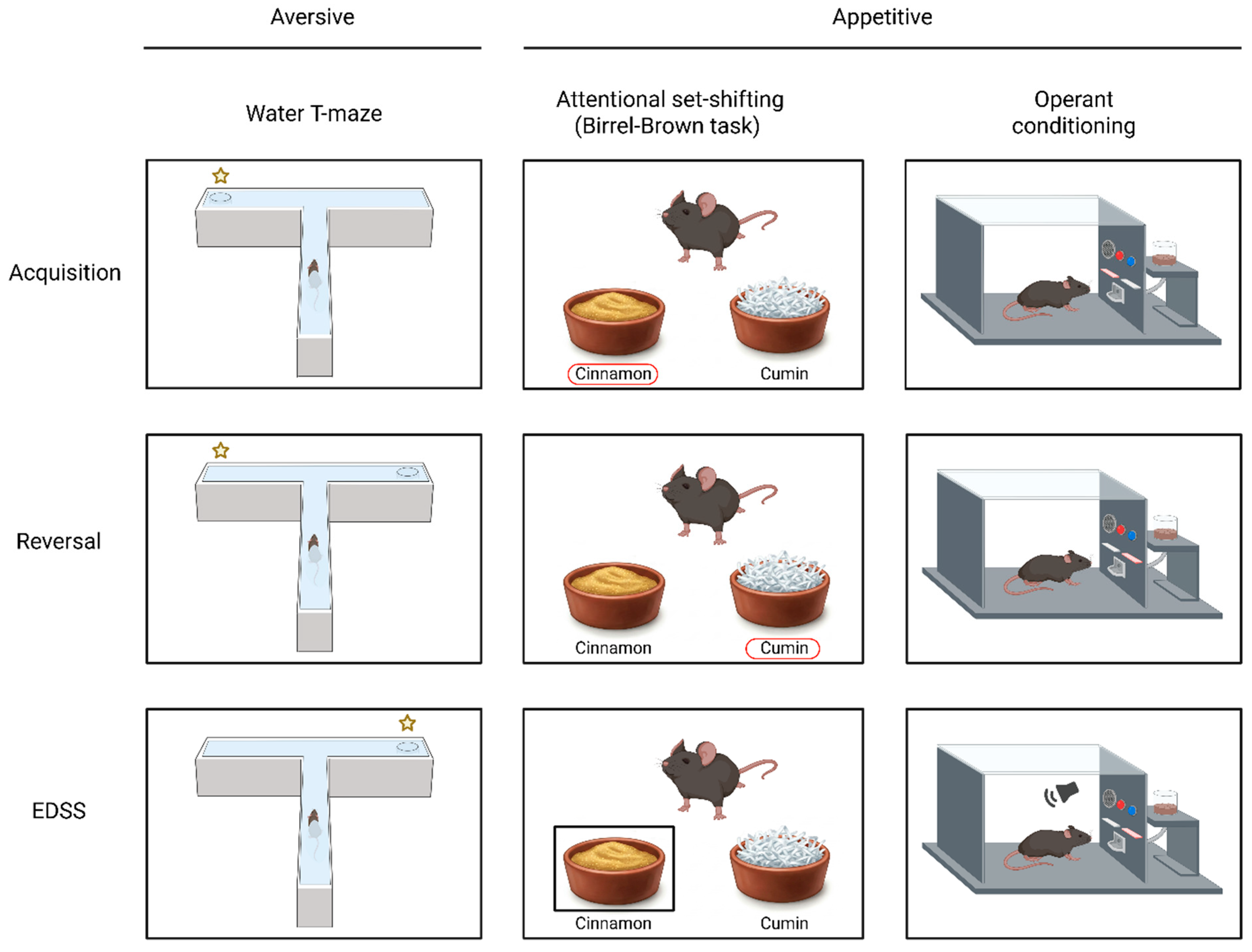 Biomolecules 15 01154 g001 Biomolecules 15 01154 g001