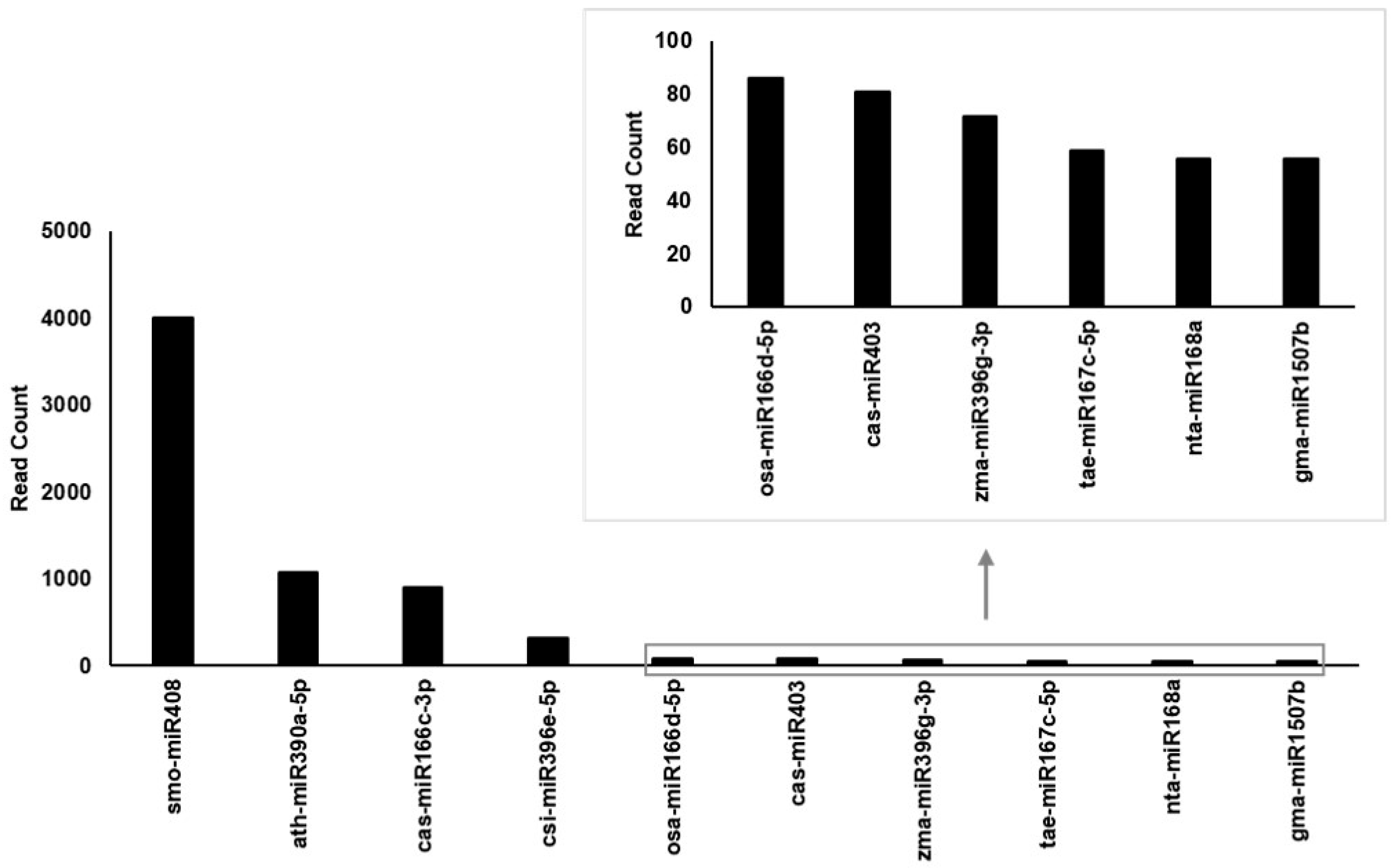 Biomolecules 15 01157 g005 Biomolecules 15 01157 g005