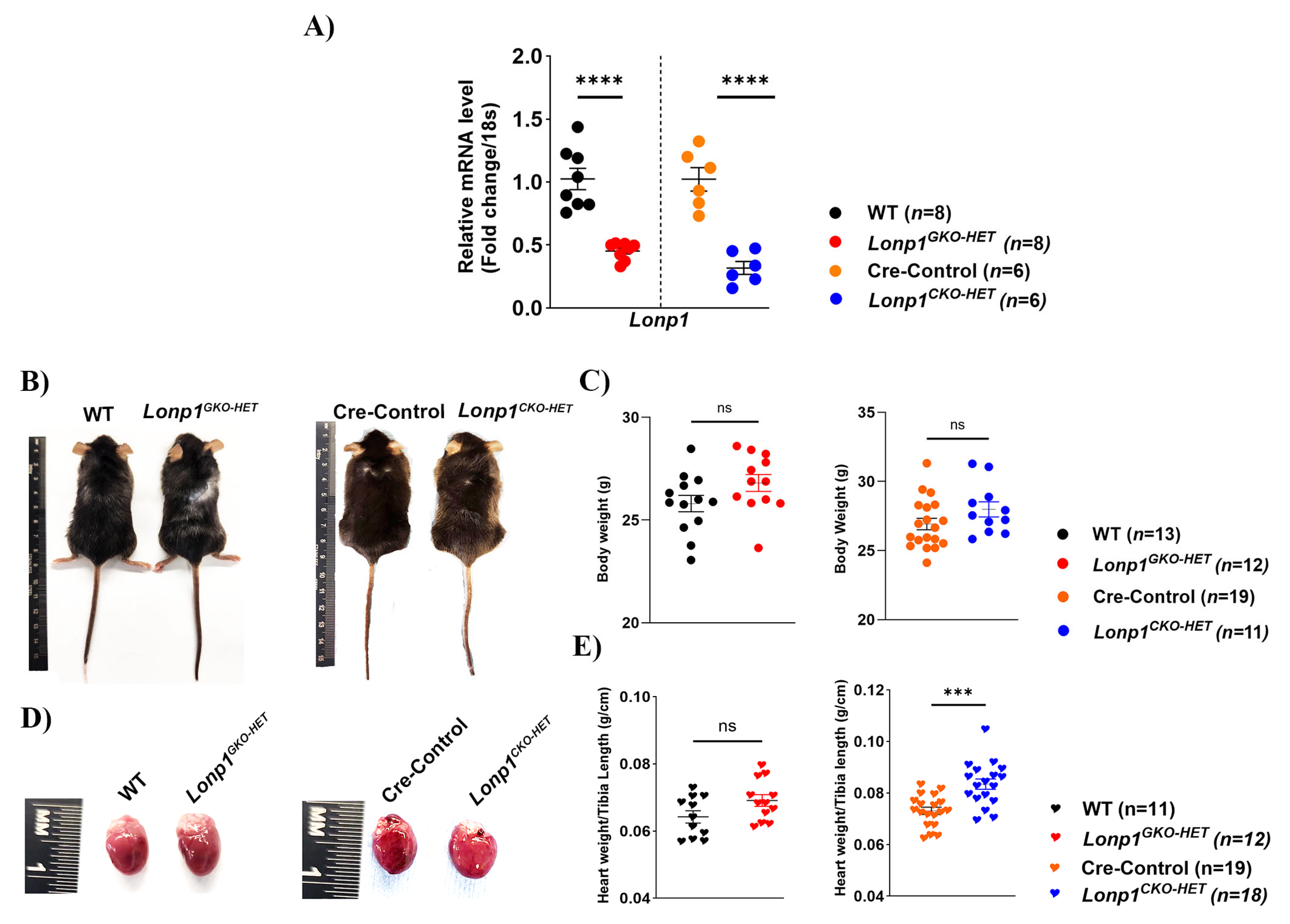 Biomolecules 15 01159 g001