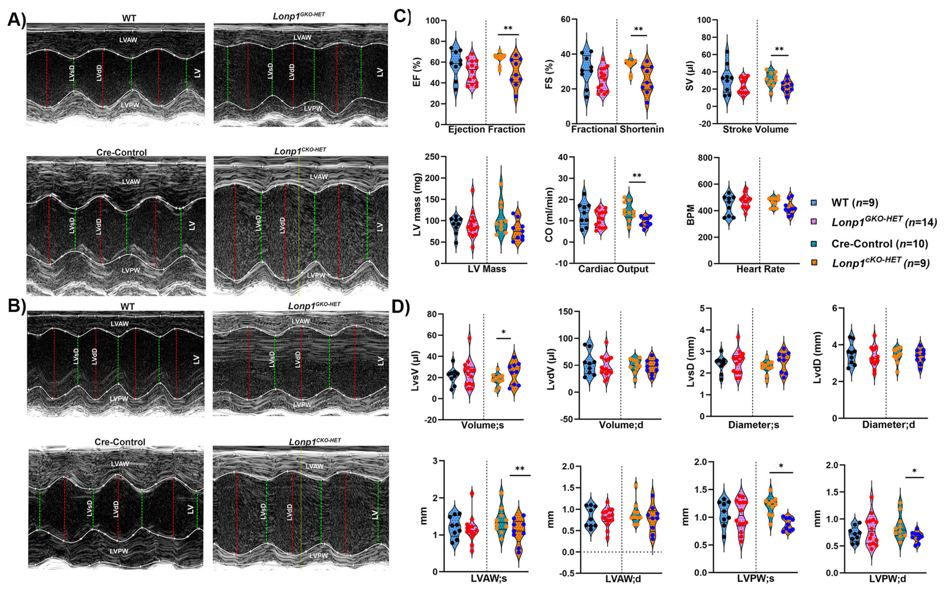 Biomolecules 15 01159 g002