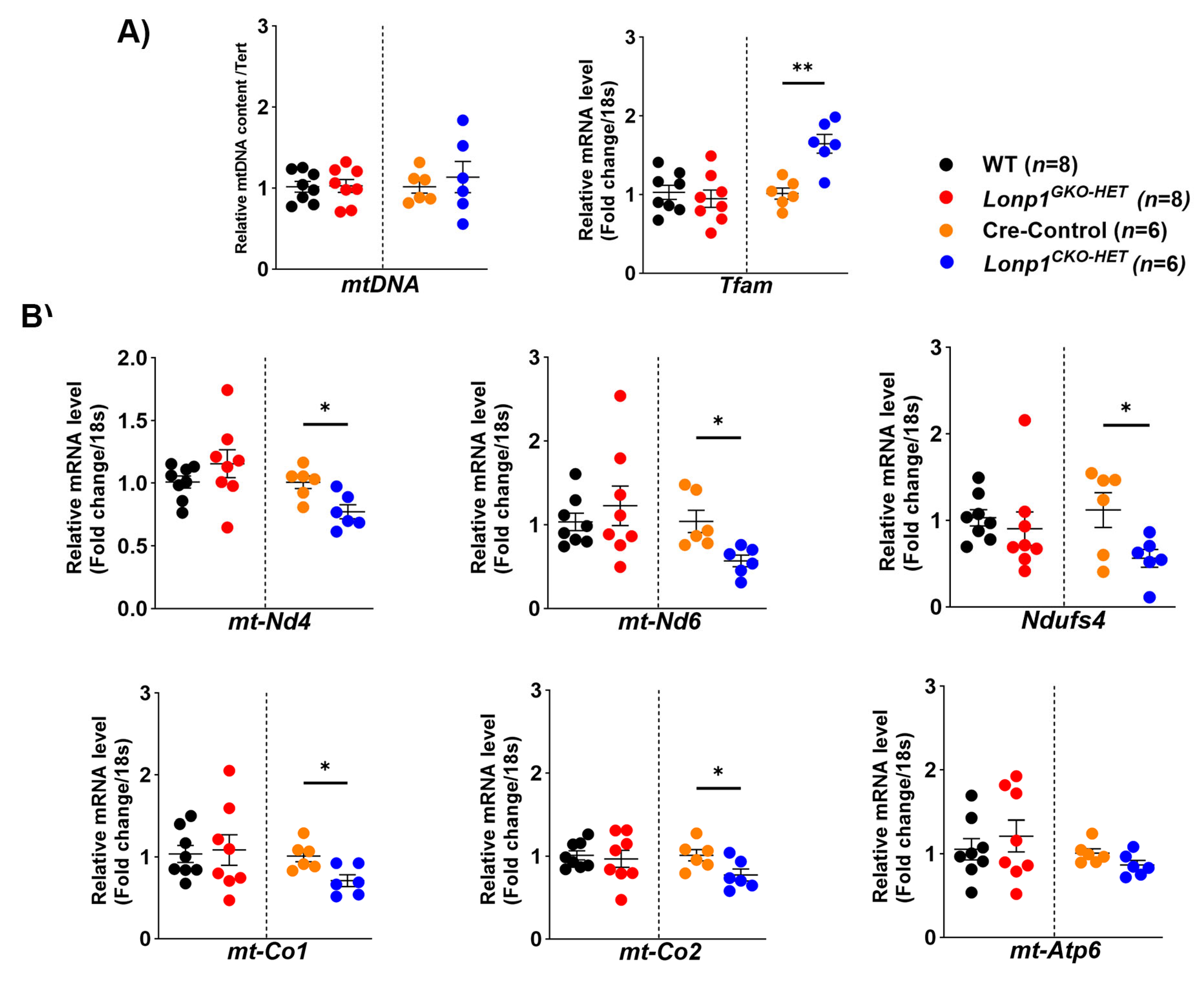 Biomolecules 15 01159 g005