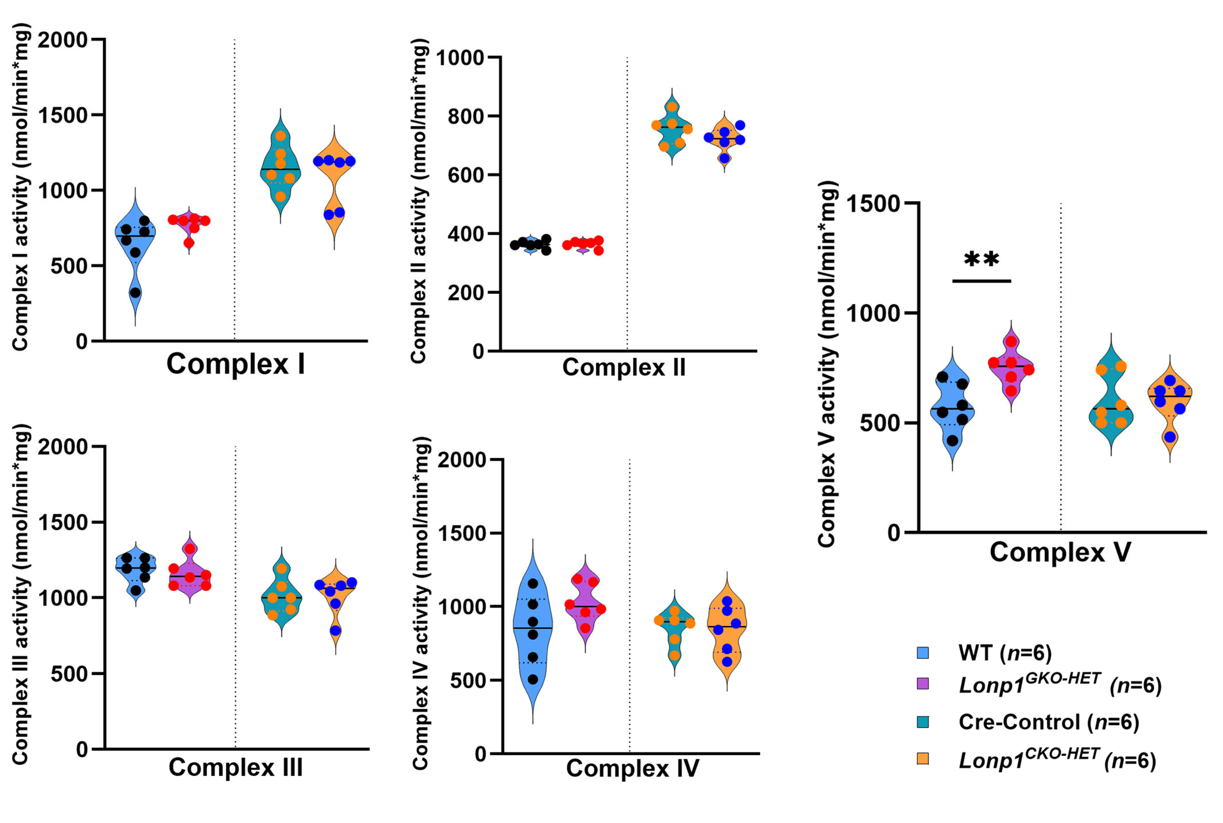 Biomolecules 15 01159 g006