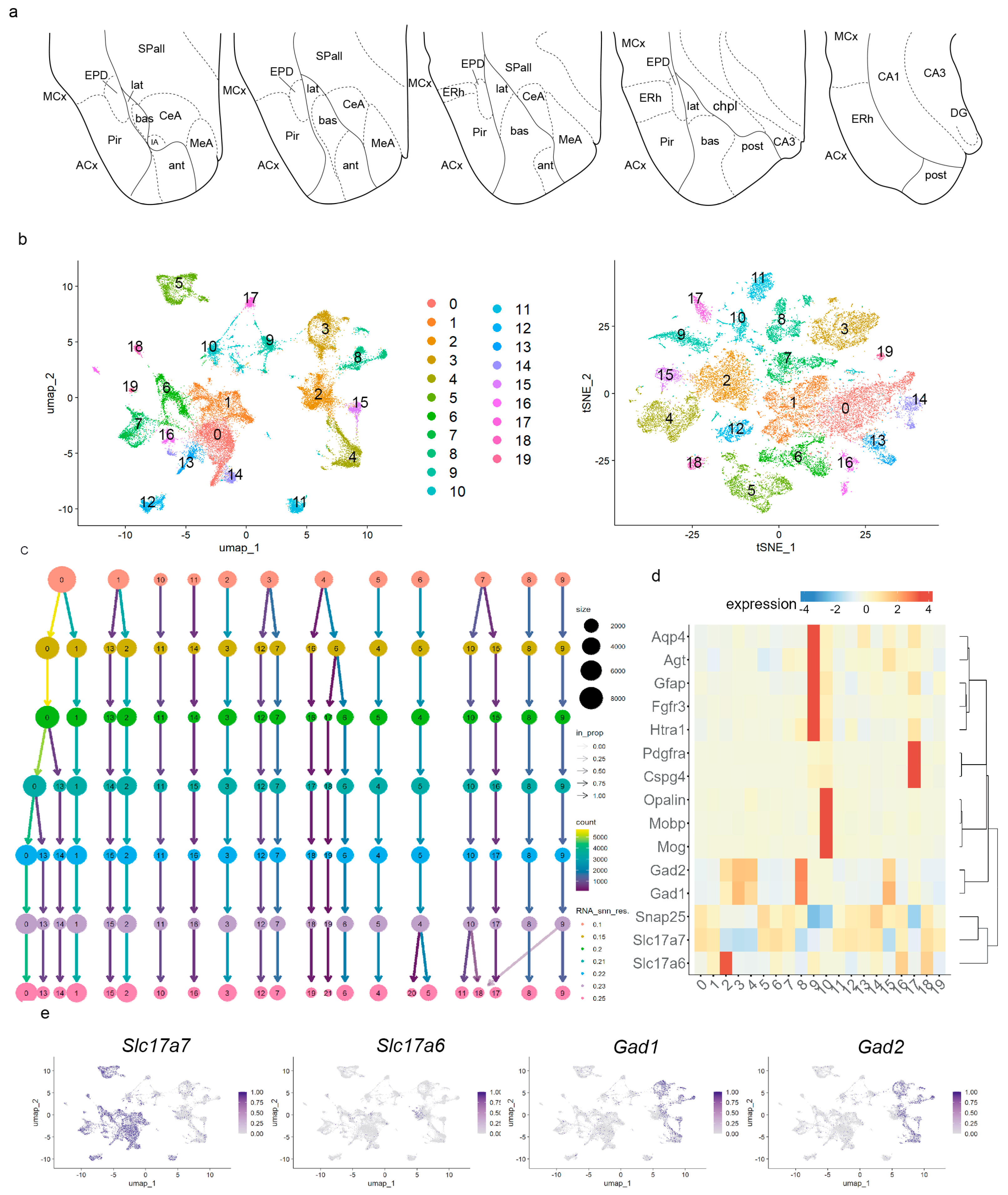 Biomolecules 15 01160 g001