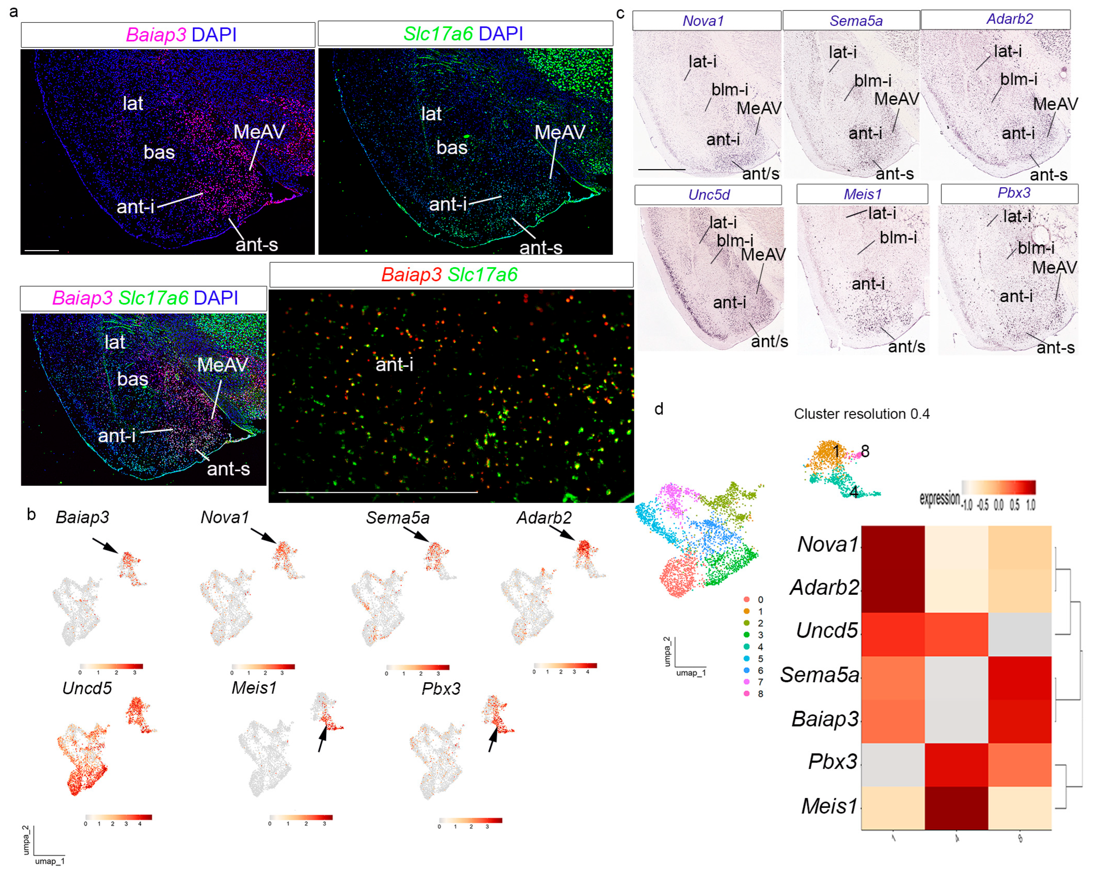 Biomolecules 15 01160 g004