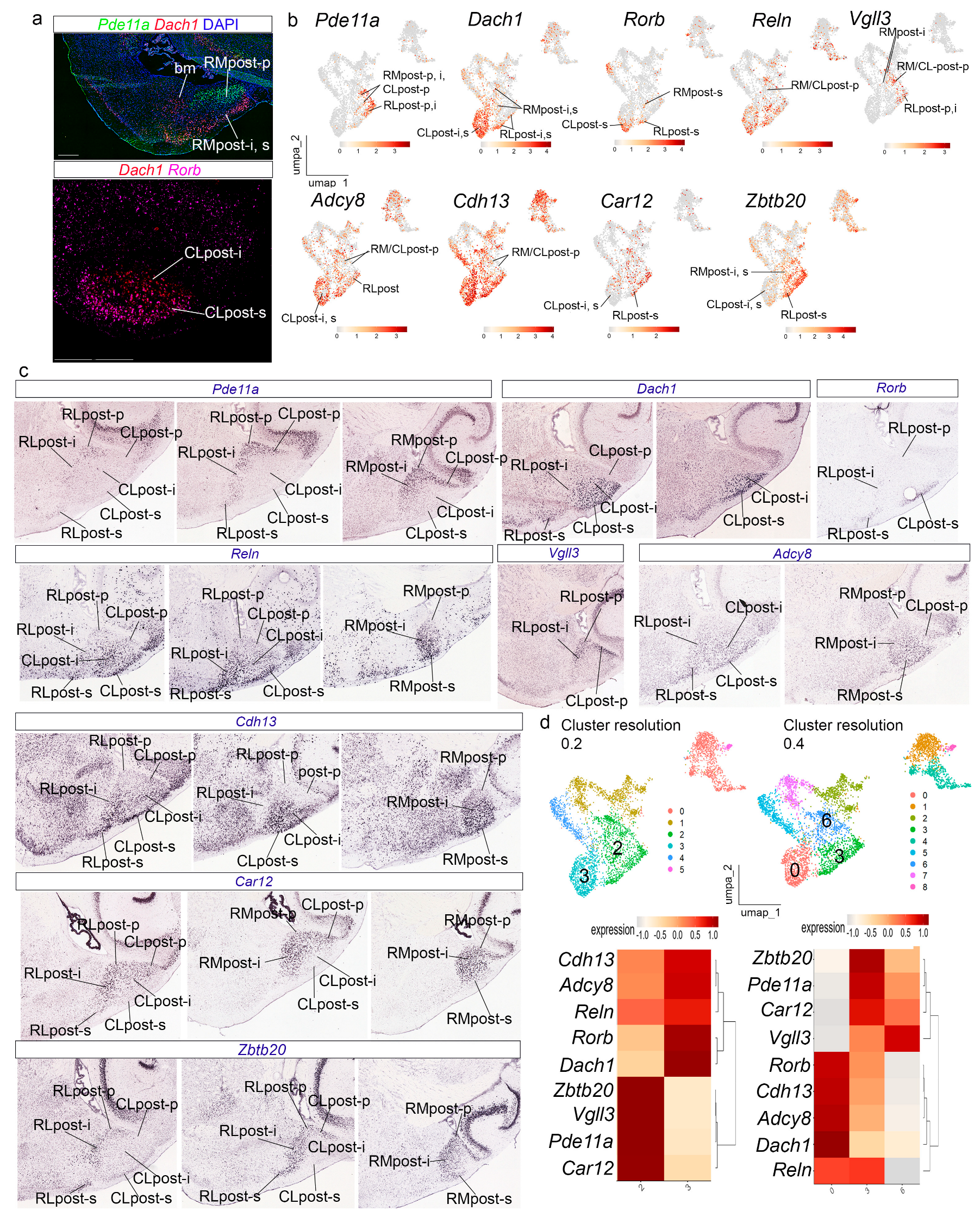 Biomolecules 15 01160 g005