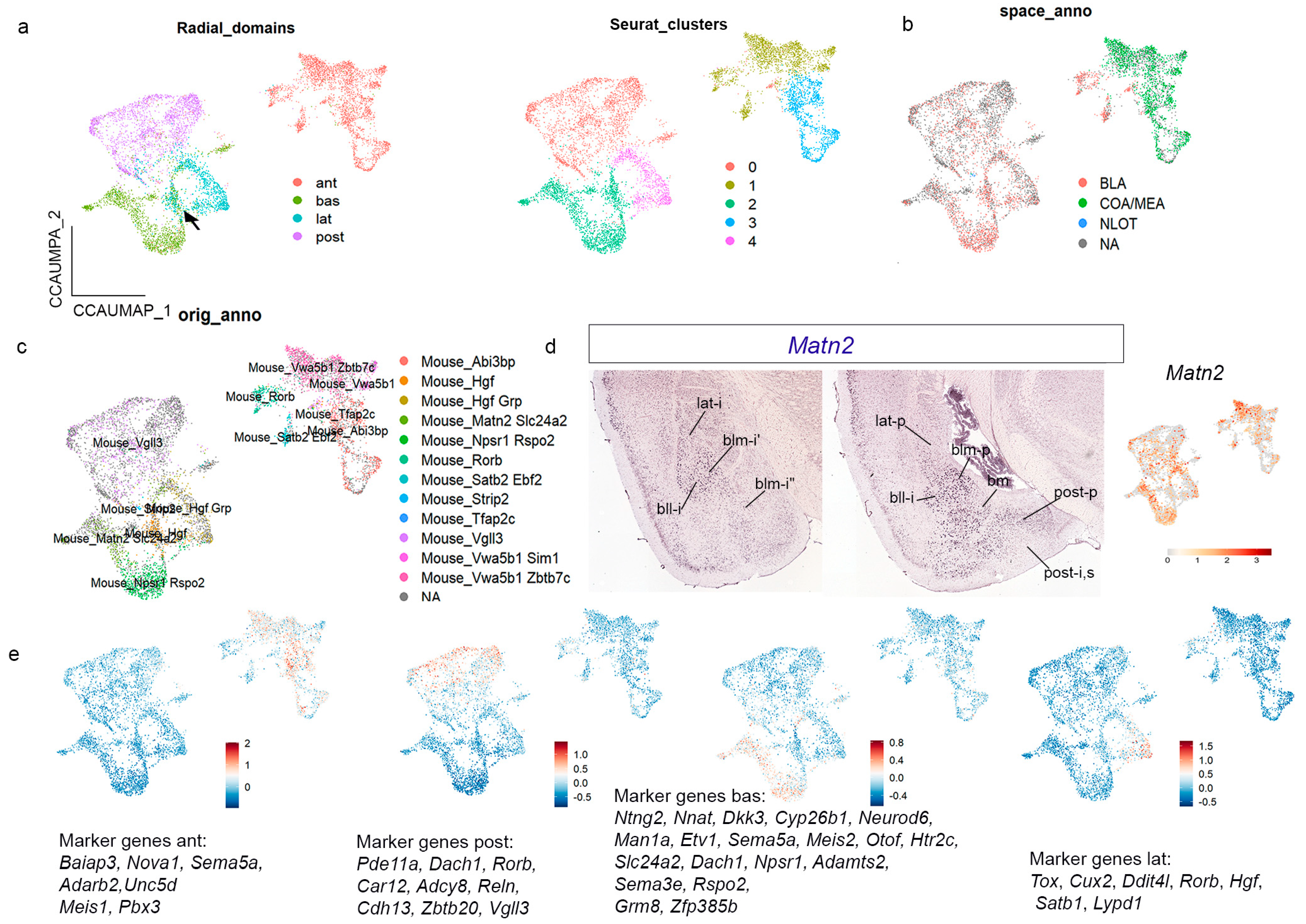 Biomolecules 15 01160 g007