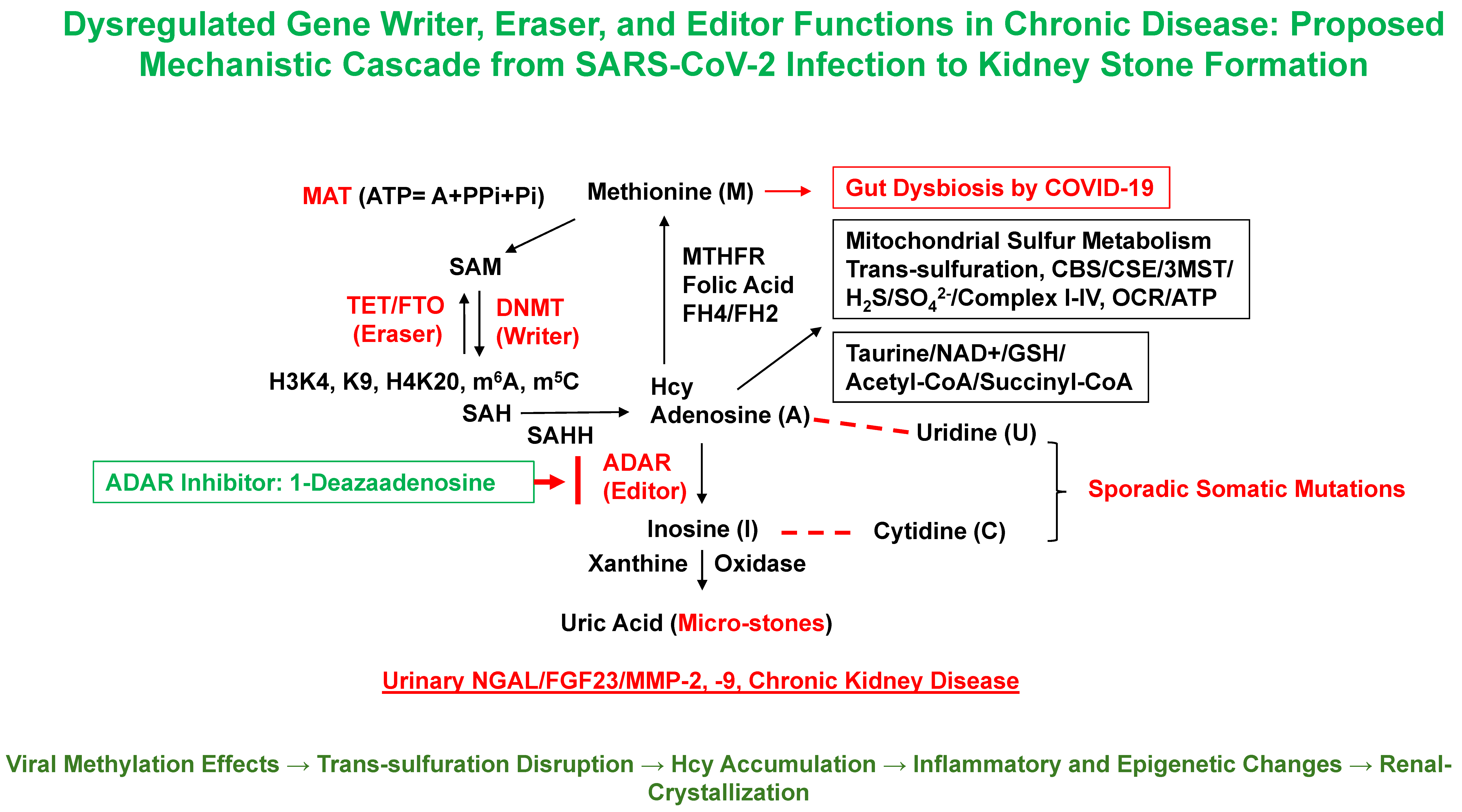Biomolecules 15 01163 g002 Biomolecules 15 01163 g002