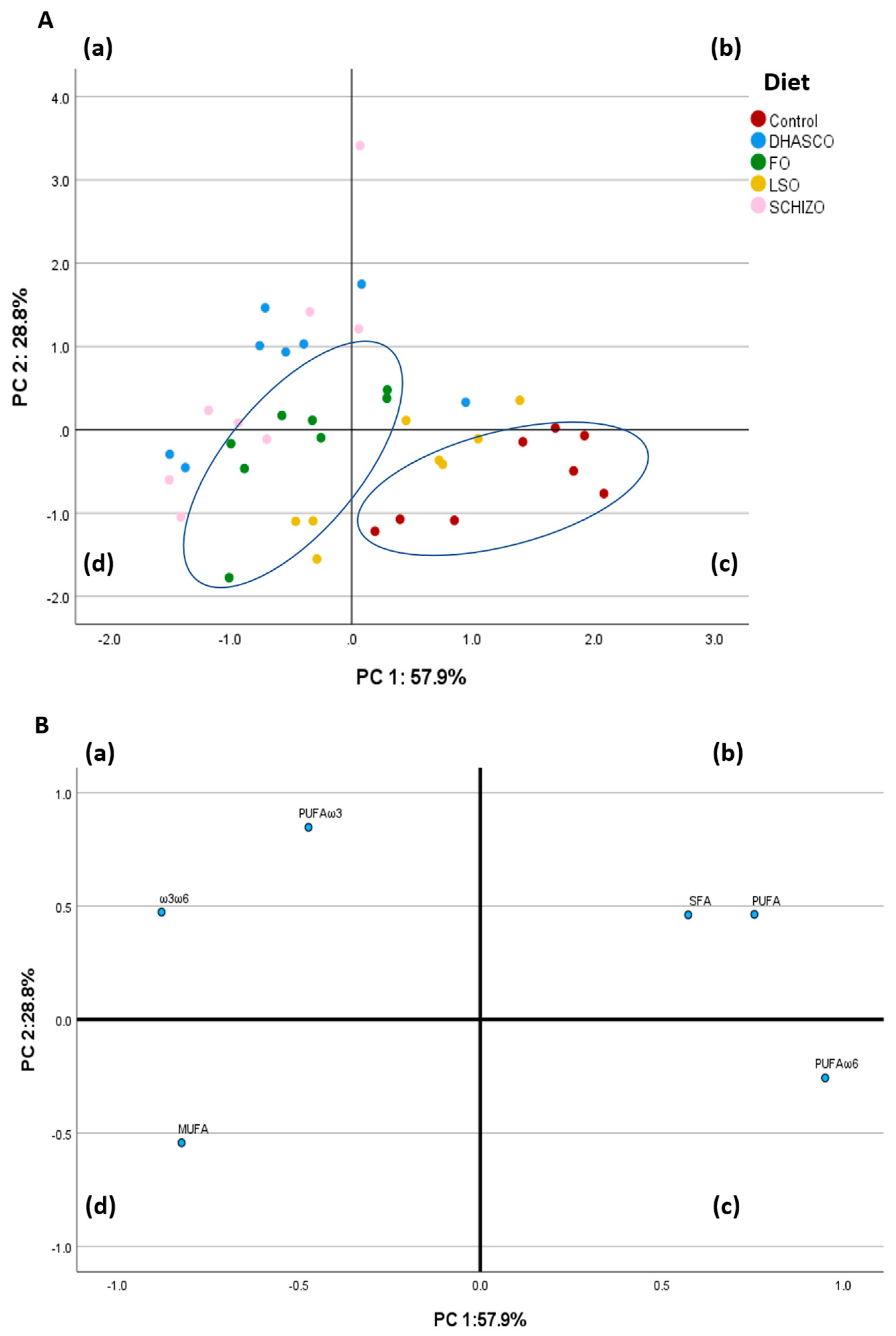 Biomolecules 15 01164 g007 Biomolecules 15 01164 g007