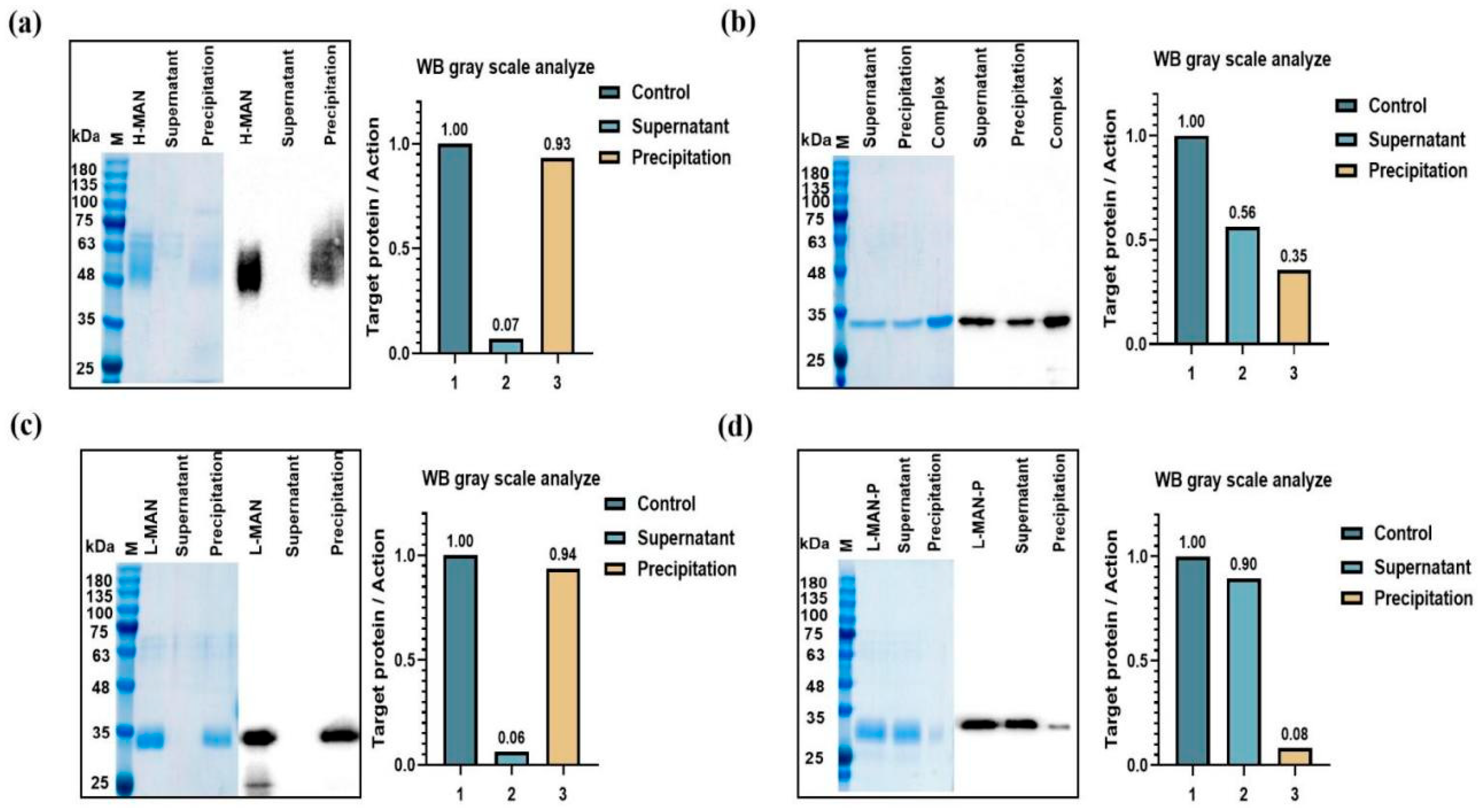 Biomolecules 15 01172 g003