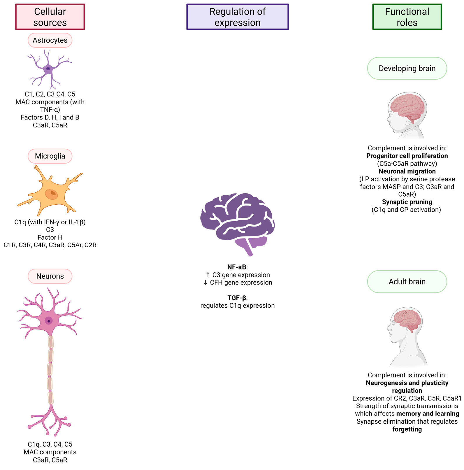 Biomolecules 15 01179 g002 Biomolecules 15 01179 g002