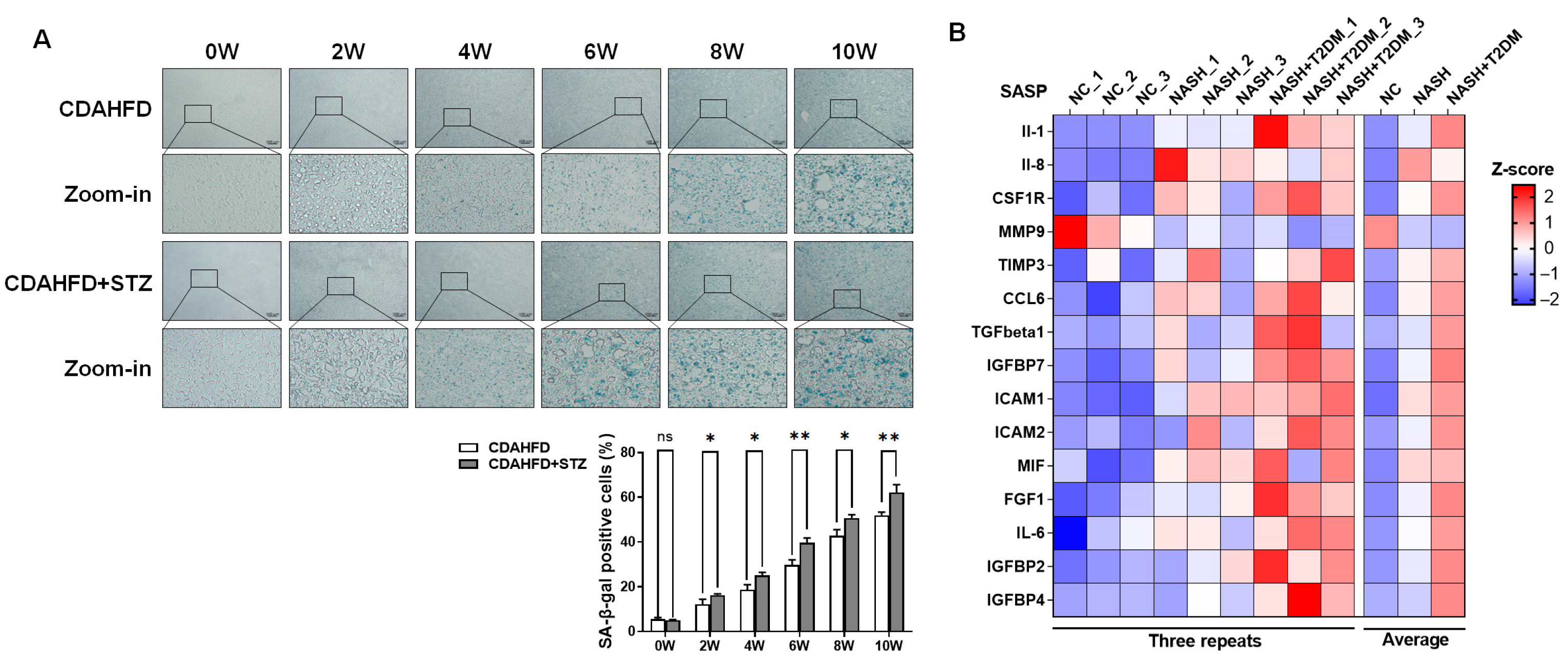Biomolecules 15 01181 g002