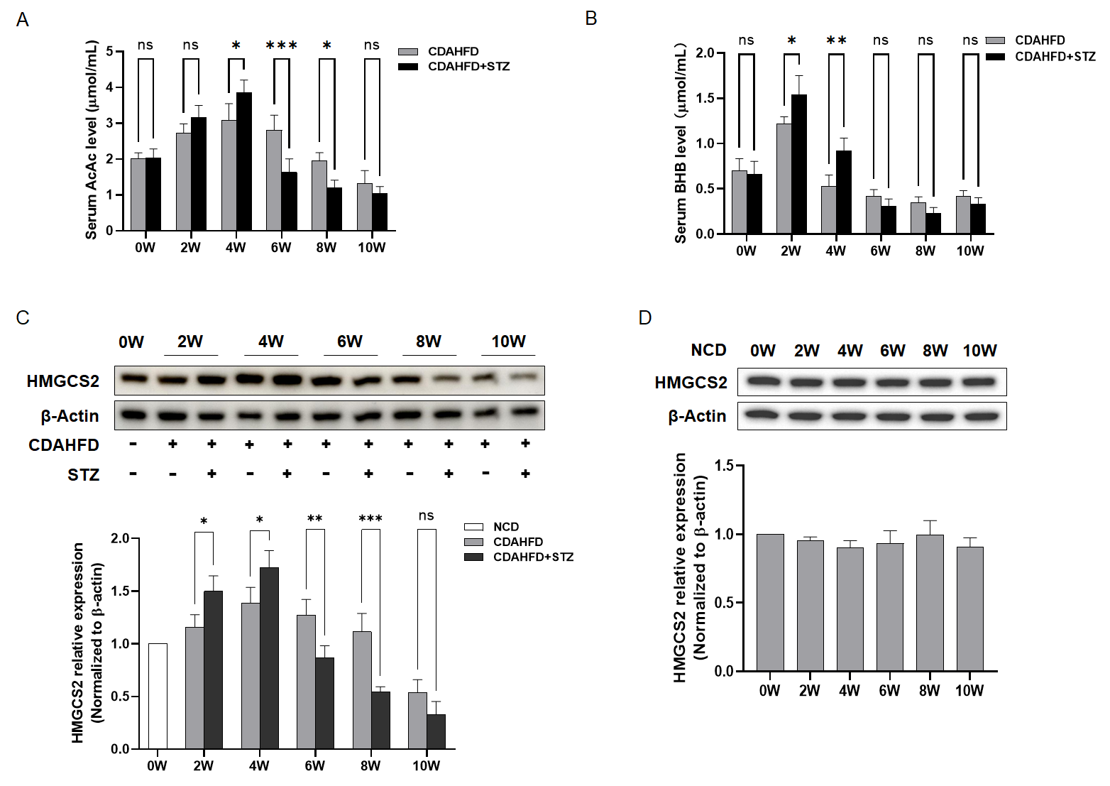Biomolecules 15 01181 g003