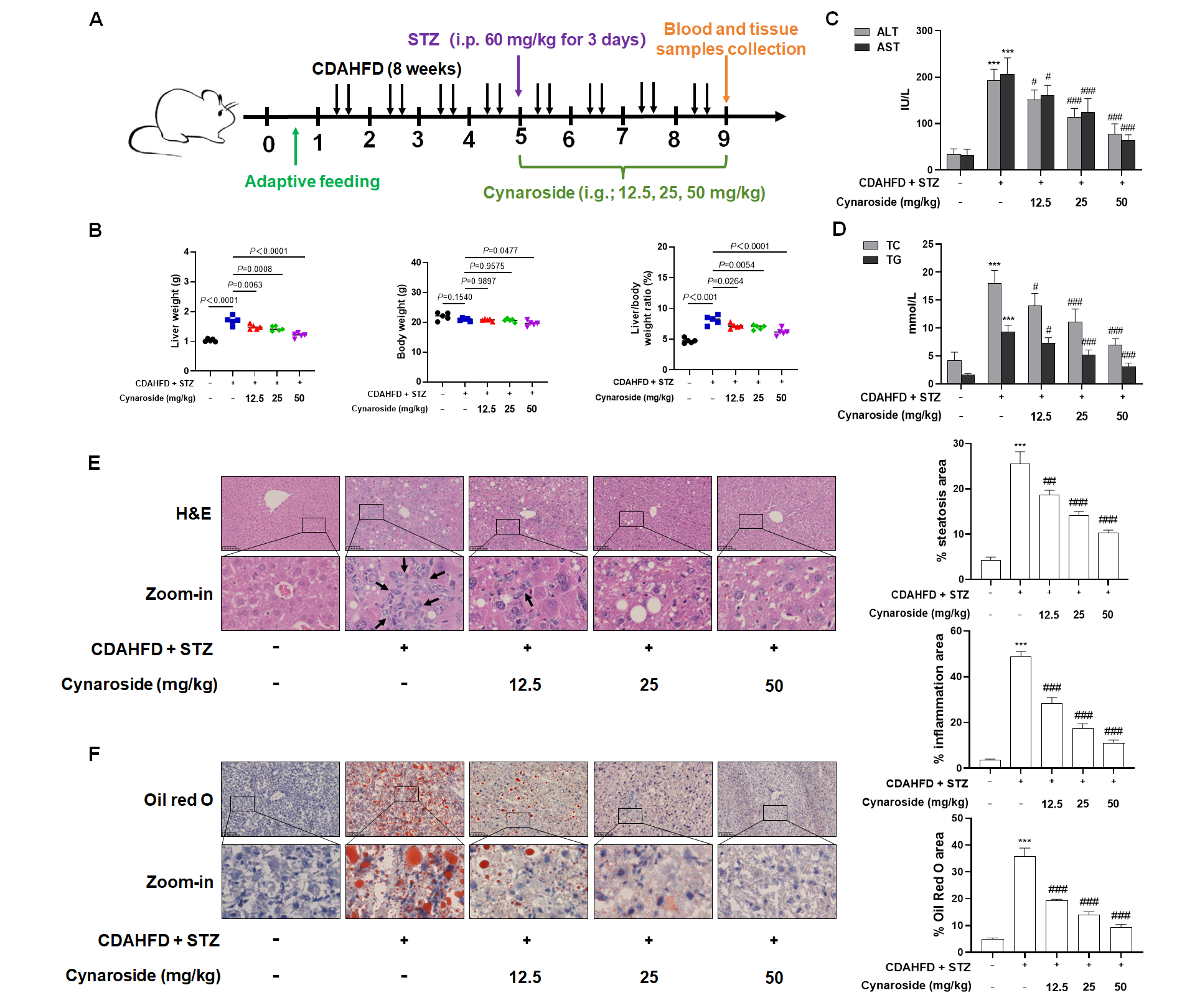Biomolecules 15 01181 g005
