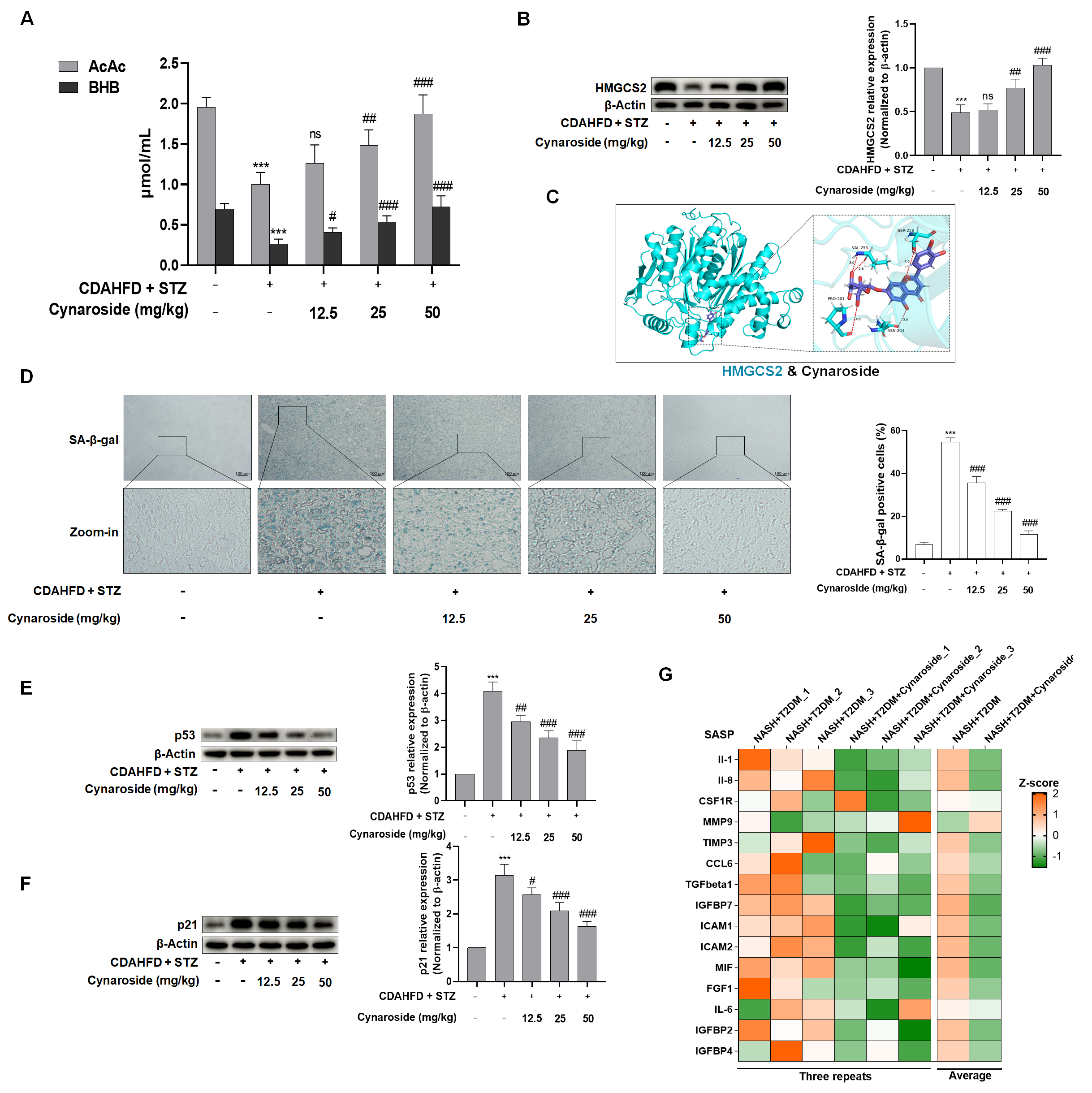 Biomolecules 15 01181 g006