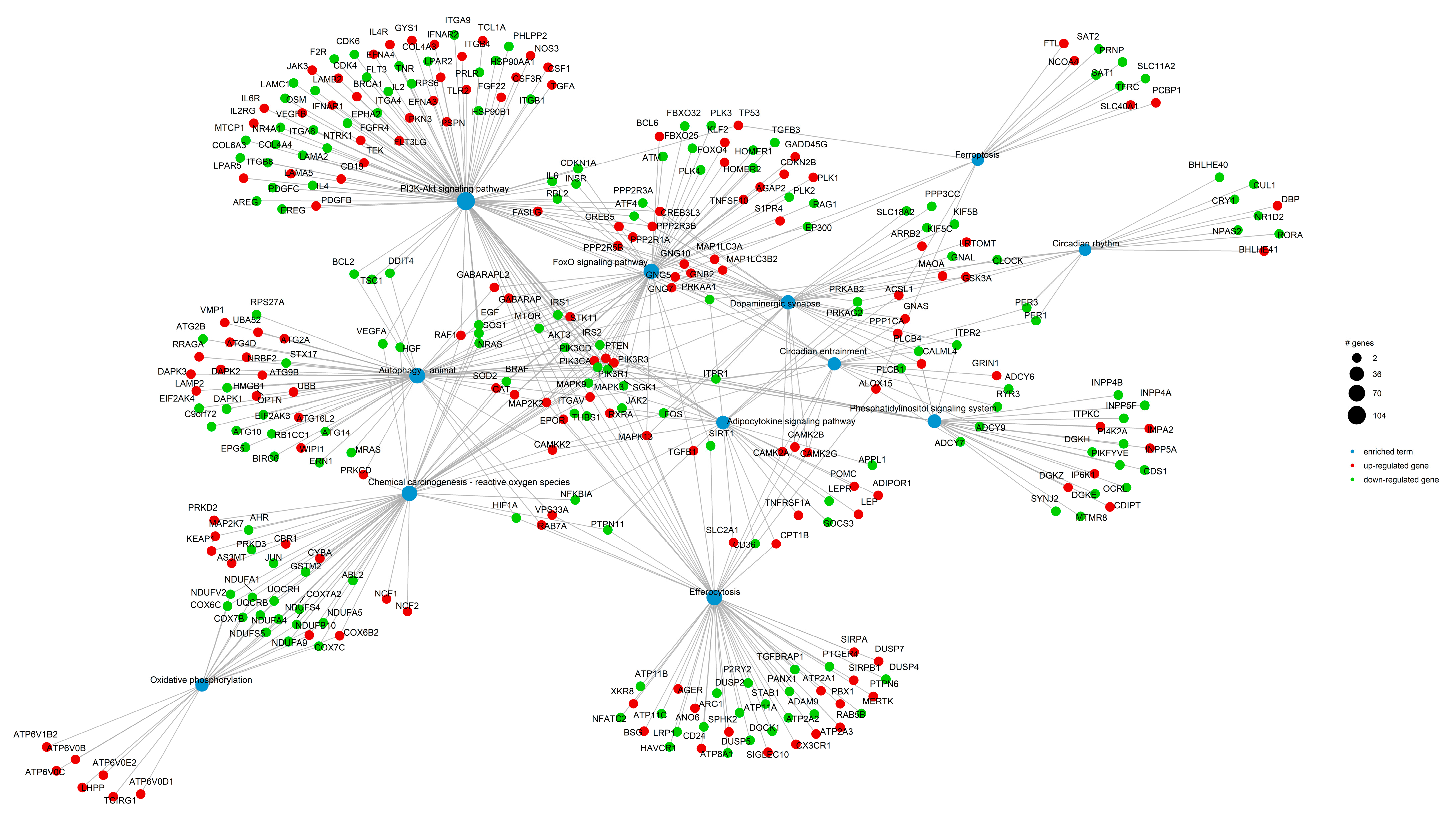 Biomolecules 15 01184 g005