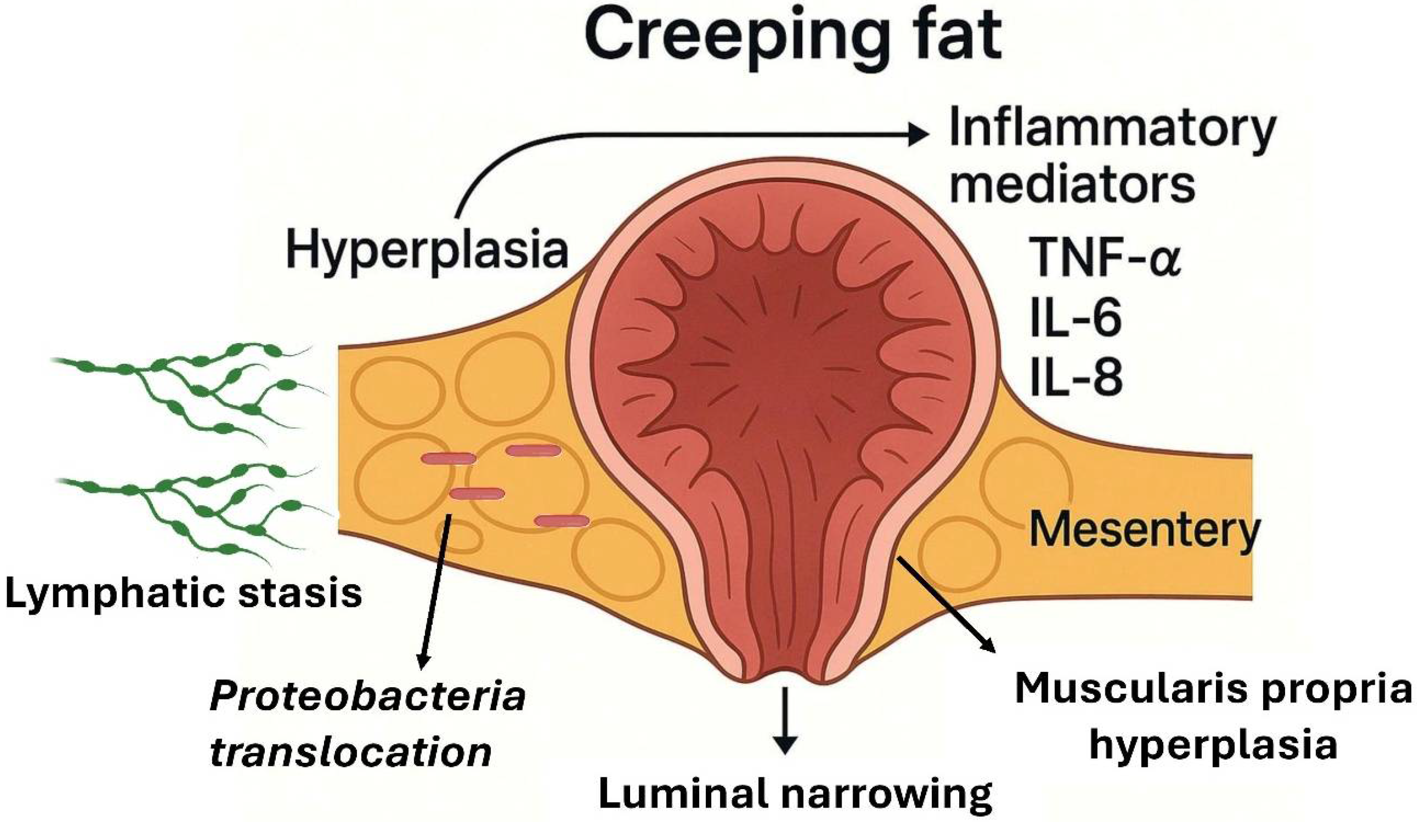 Biomolecules 15 01185 g002 Biomolecules 15 01185 g002