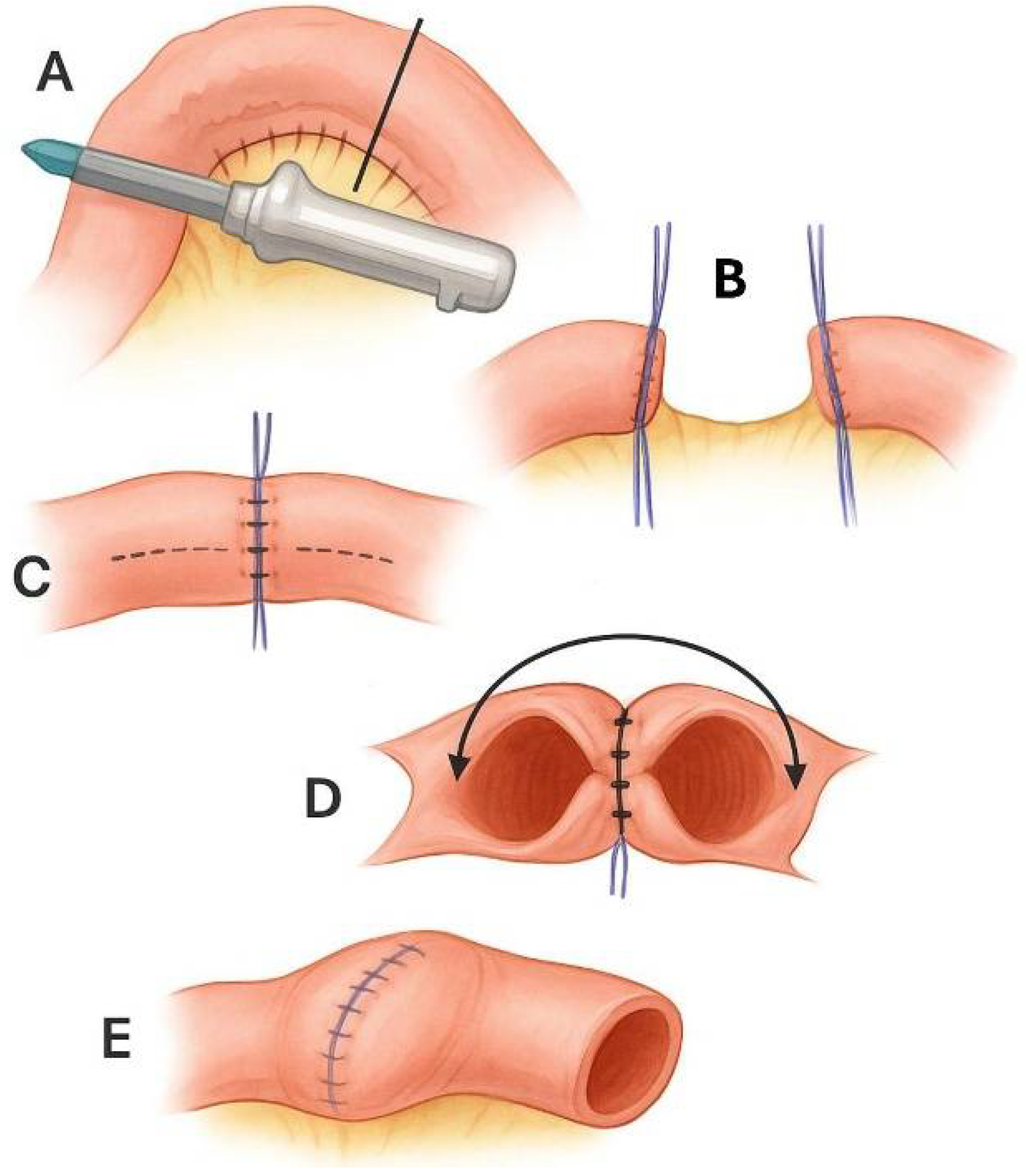 Biomolecules 15 01185 g003 Biomolecules 15 01185 g003