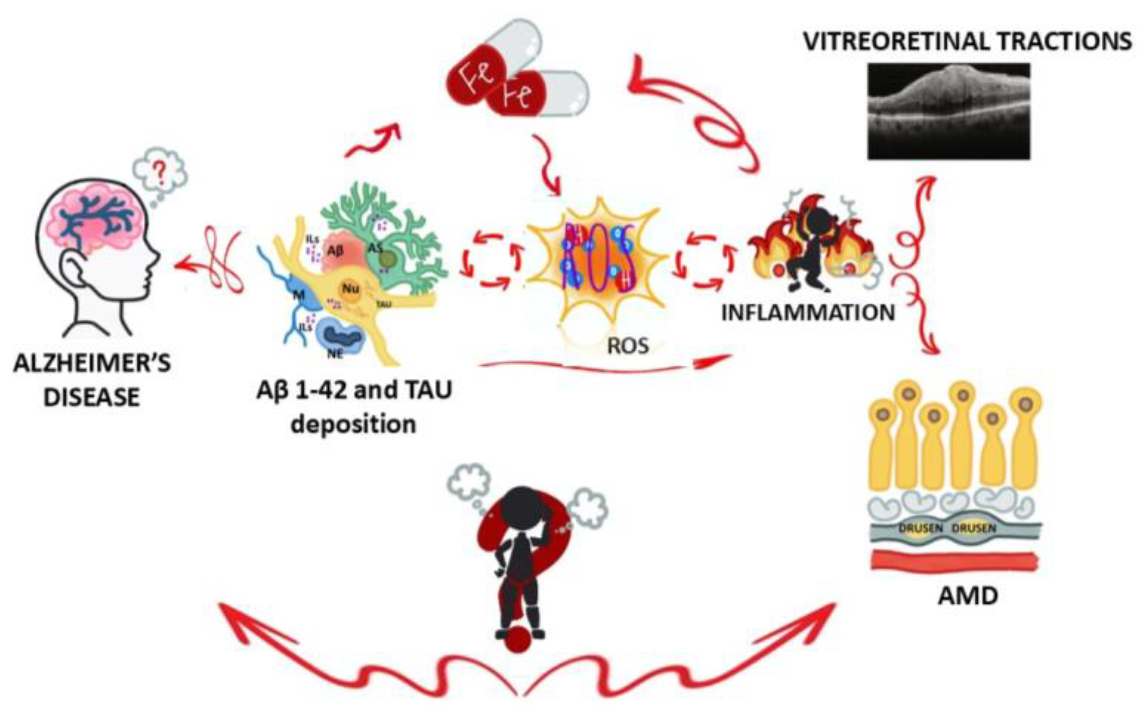 Biomolecules 15 01187 g006 Biomolecules 15 01187 g006