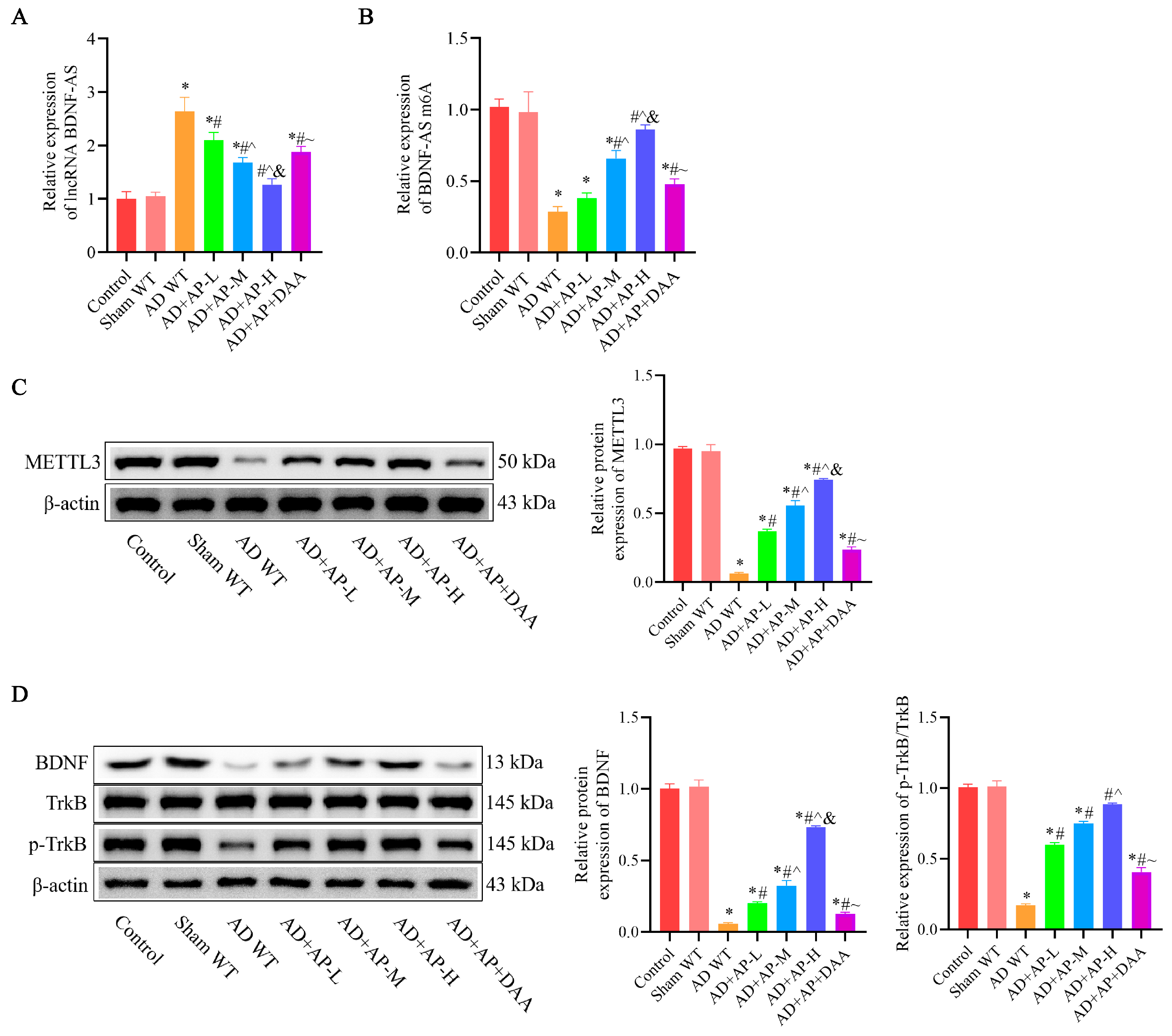 Biomolecules 15 01188 g003 Biomolecules 15 01188 g003