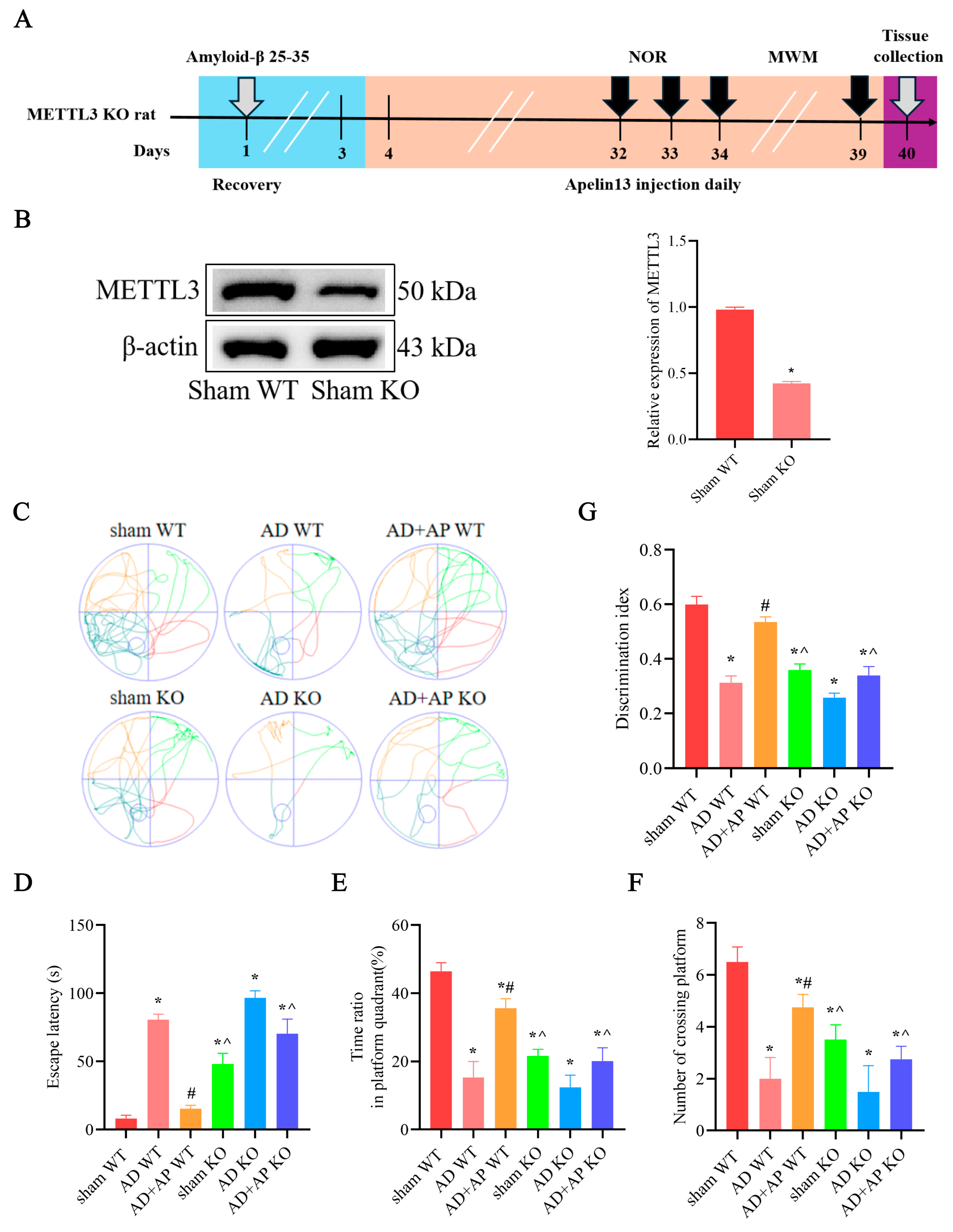 Biomolecules 15 01188 g004 Biomolecules 15 01188 g004