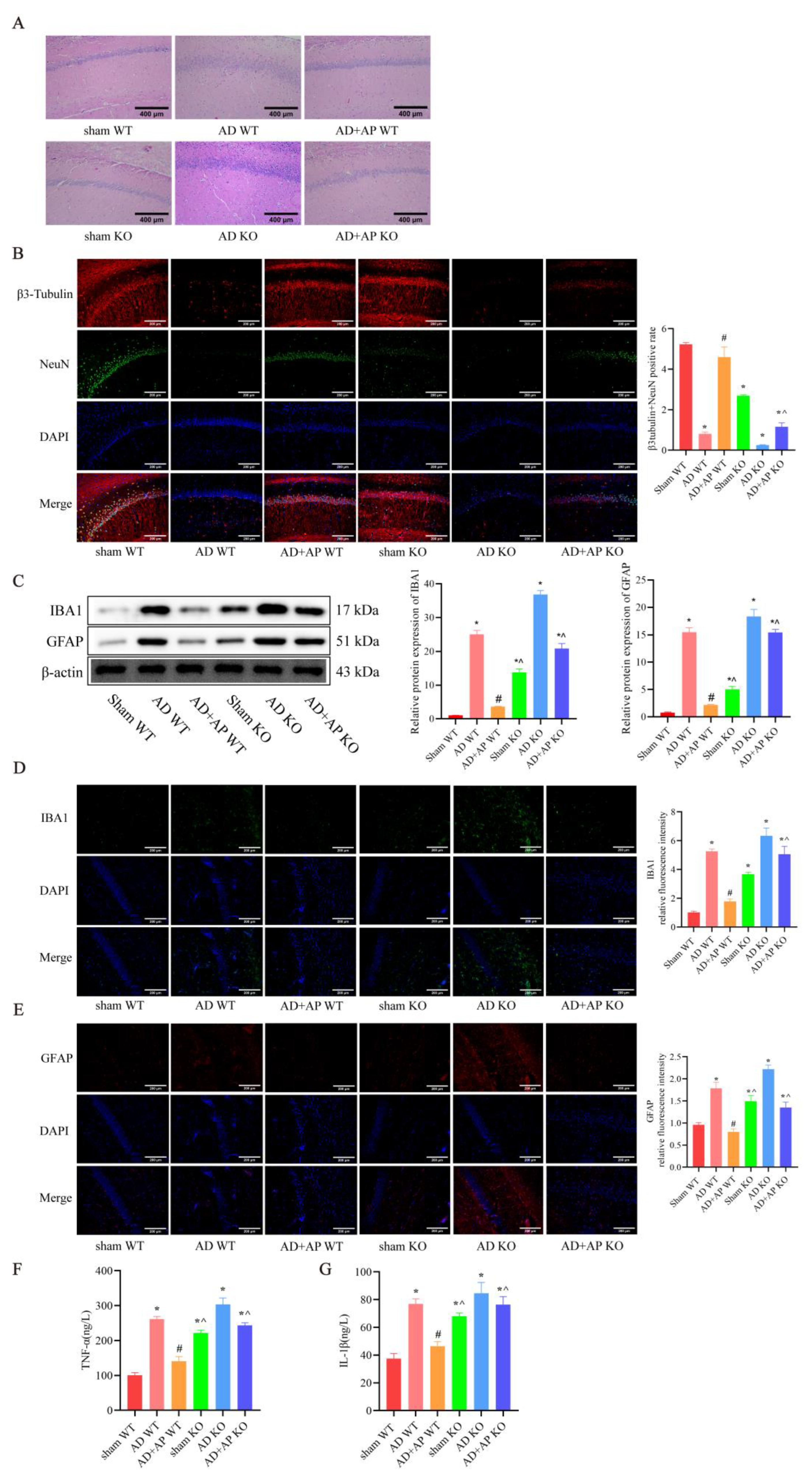 Biomolecules 15 01188 g005 Biomolecules 15 01188 g005