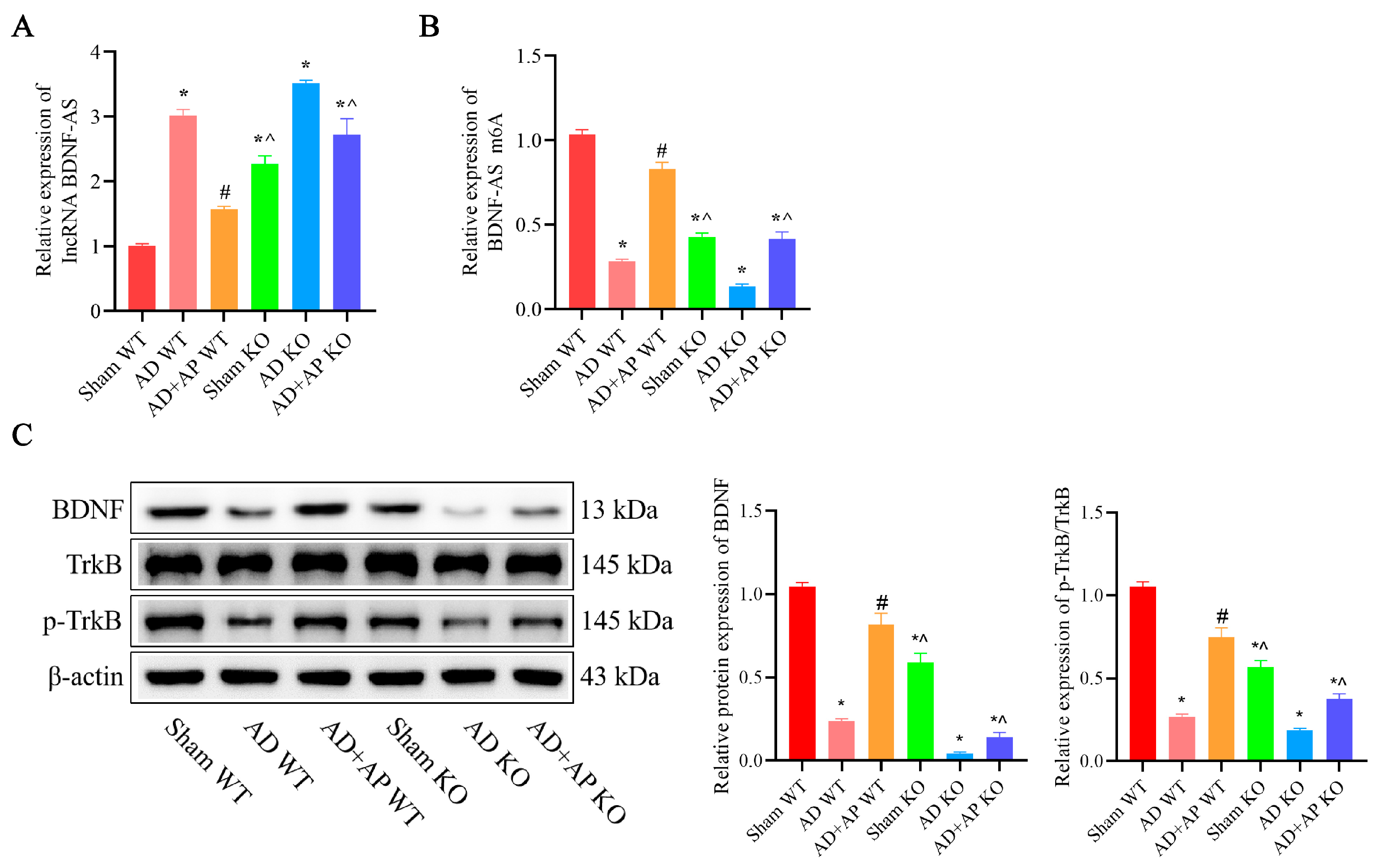 Biomolecules 15 01188 g006 Biomolecules 15 01188 g006