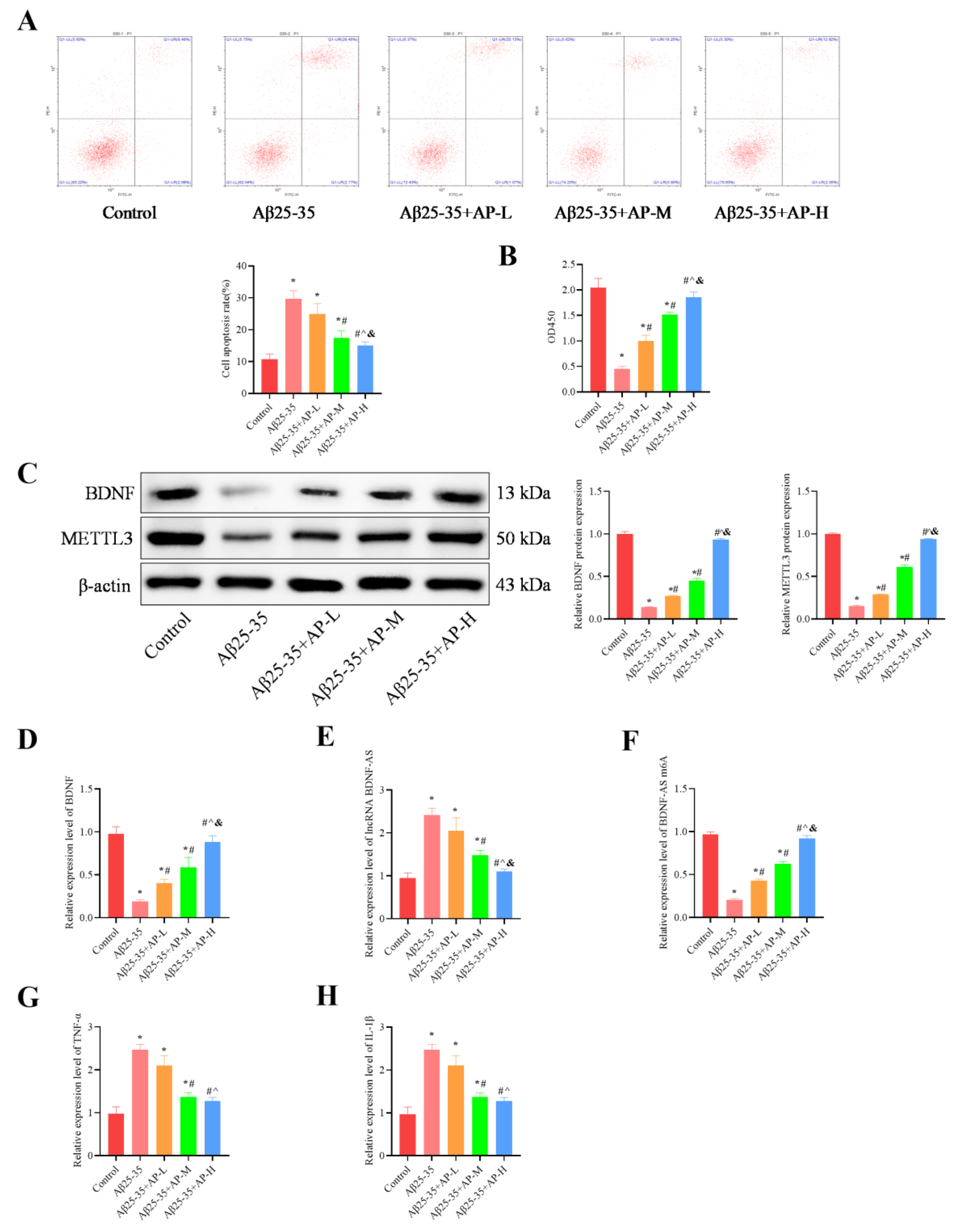 Biomolecules 15 01188 g007 Biomolecules 15 01188 g007