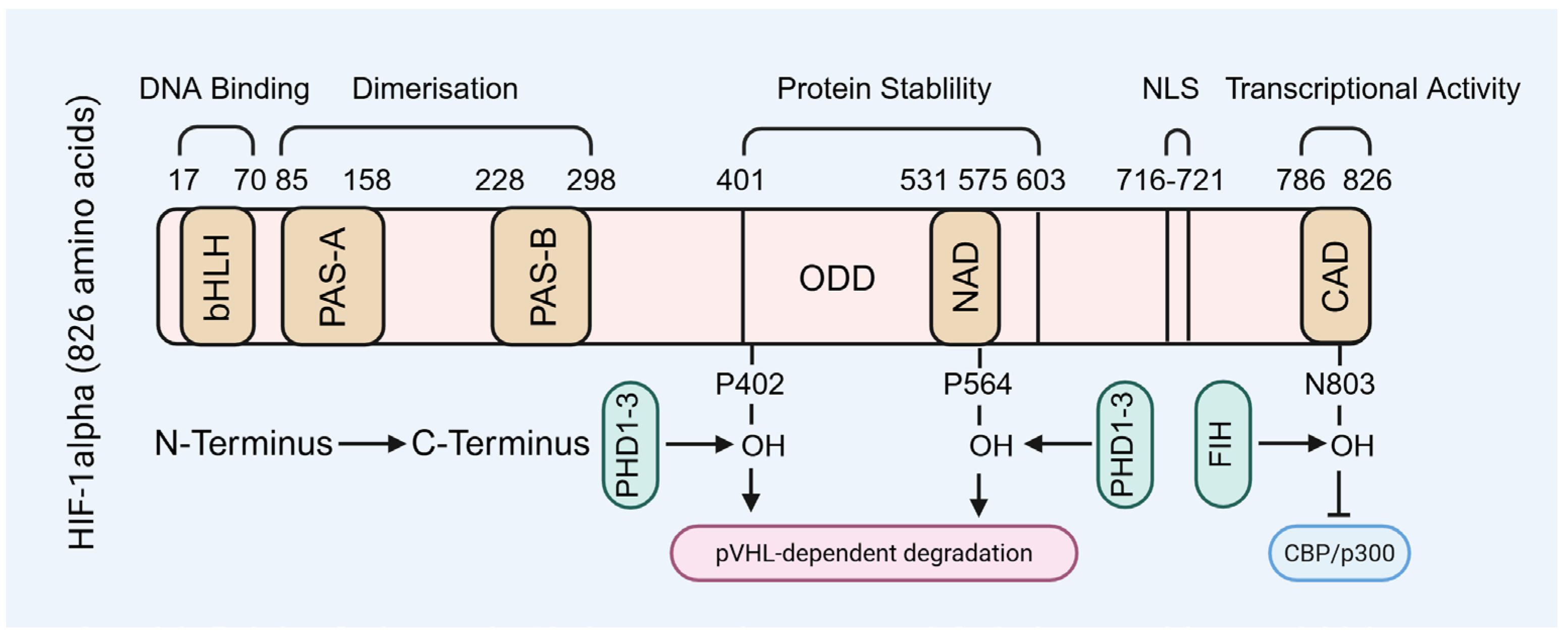 Biomolecules 15 01190 g001 Biomolecules 15 01190 g001