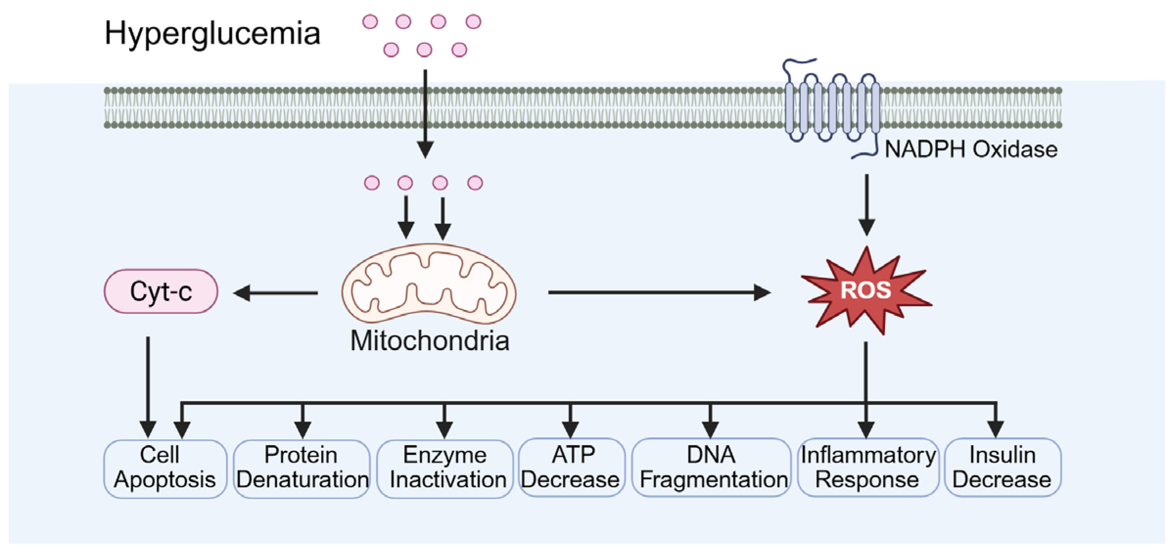 Biomolecules 15 01190 g004 Biomolecules 15 01190 g004