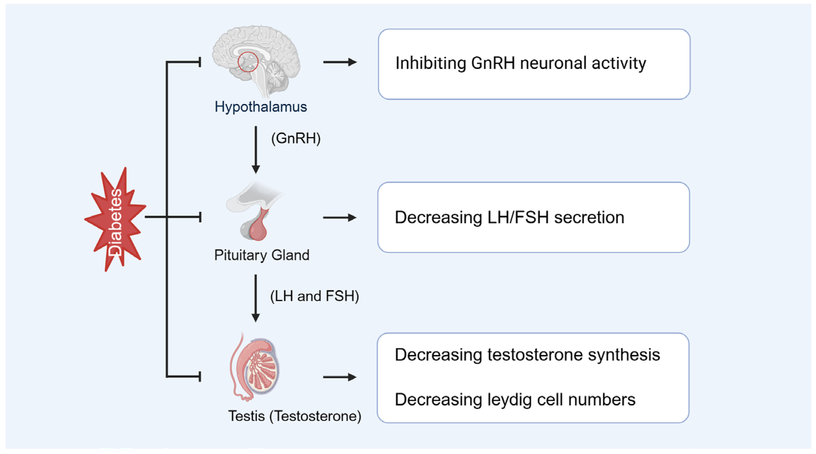 Biomolecules 15 01190 g006 Biomolecules 15 01190 g006