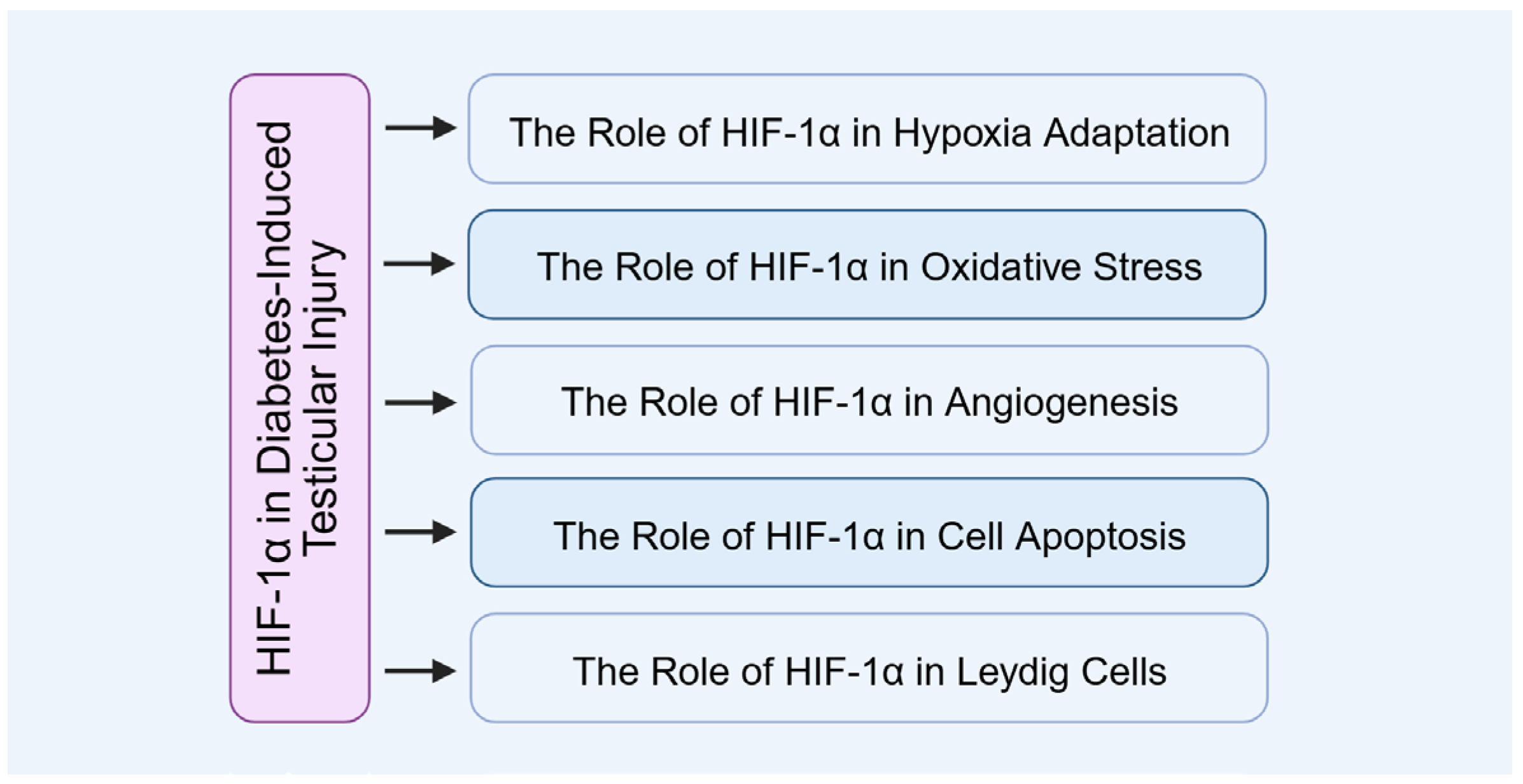Biomolecules 15 01190 g008 Biomolecules 15 01190 g008