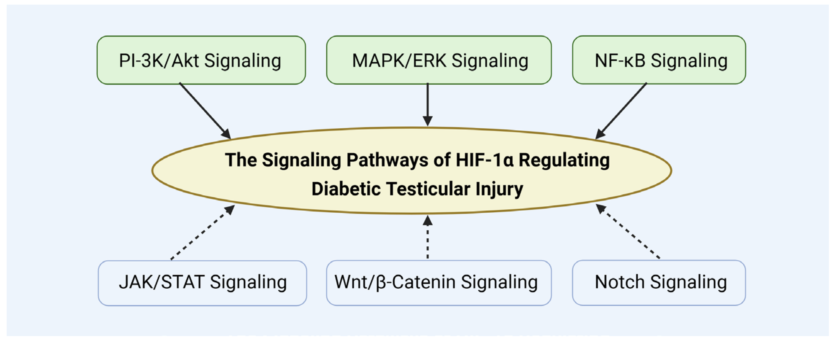 Biomolecules 15 01190 g014 Biomolecules 15 01190 g014
