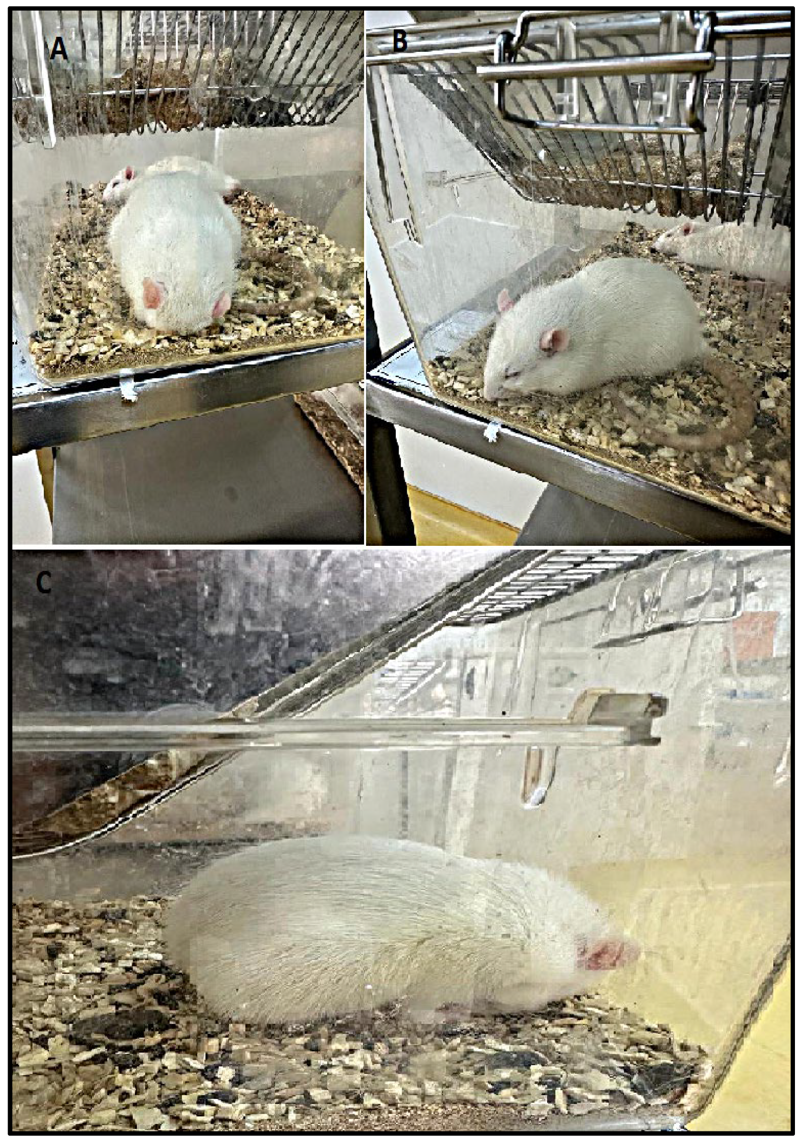 Biomolecules 15 01192 g002 Biomolecules 15 01192 g002