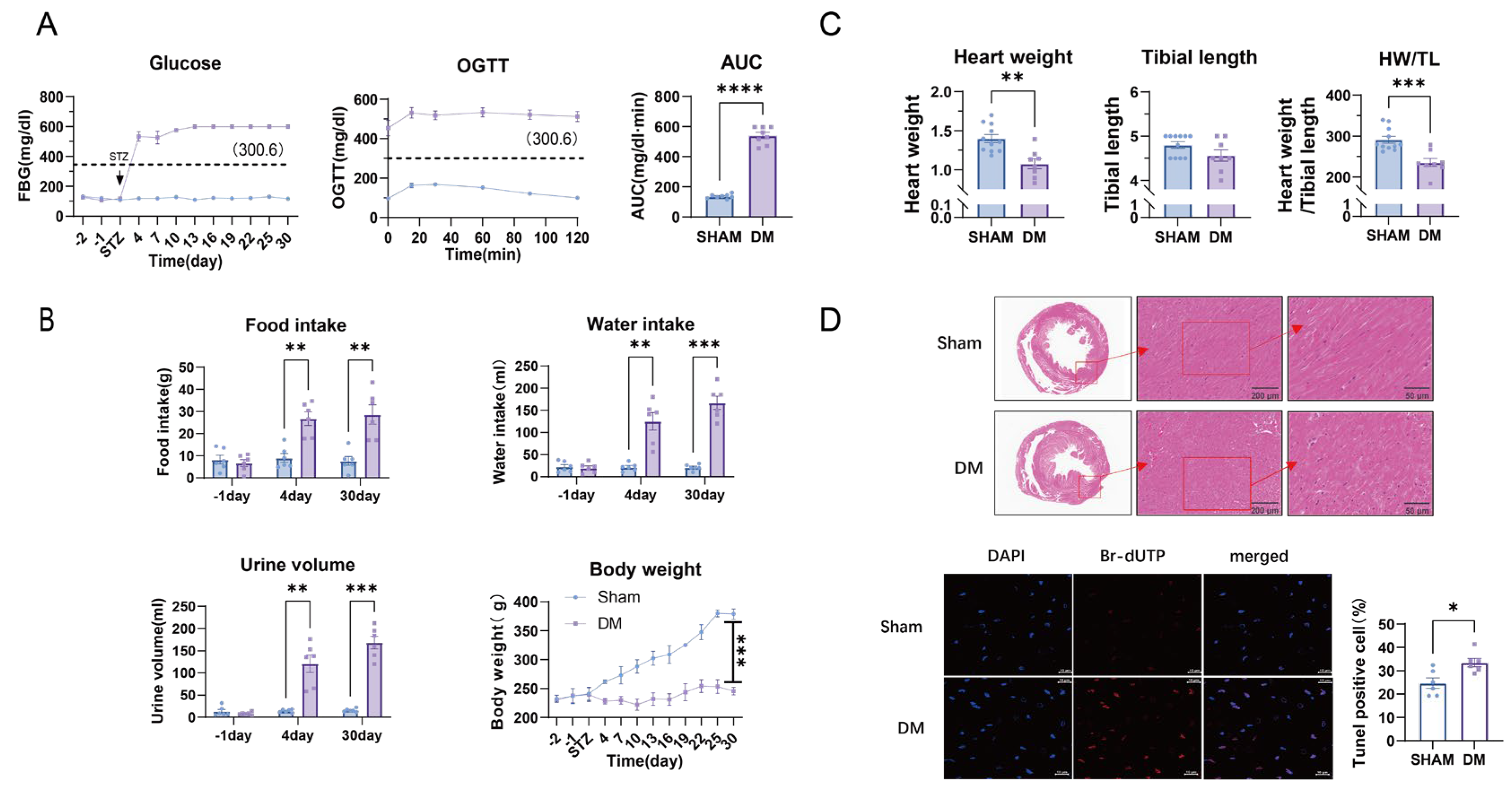 Biomolecules 15 01197 g001 Biomolecules 15 01197 g001