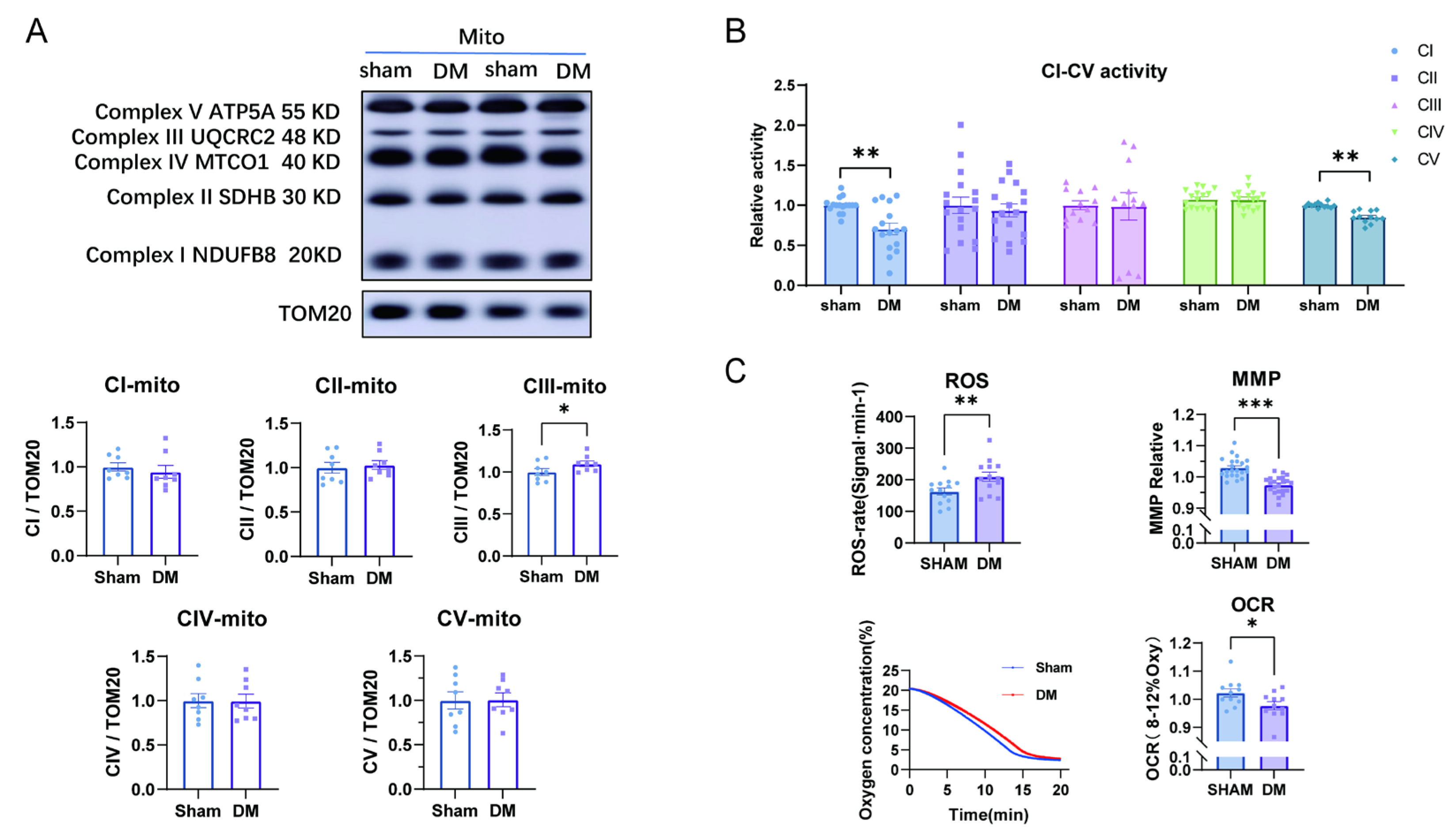 Biomolecules 15 01197 g002 Biomolecules 15 01197 g002
