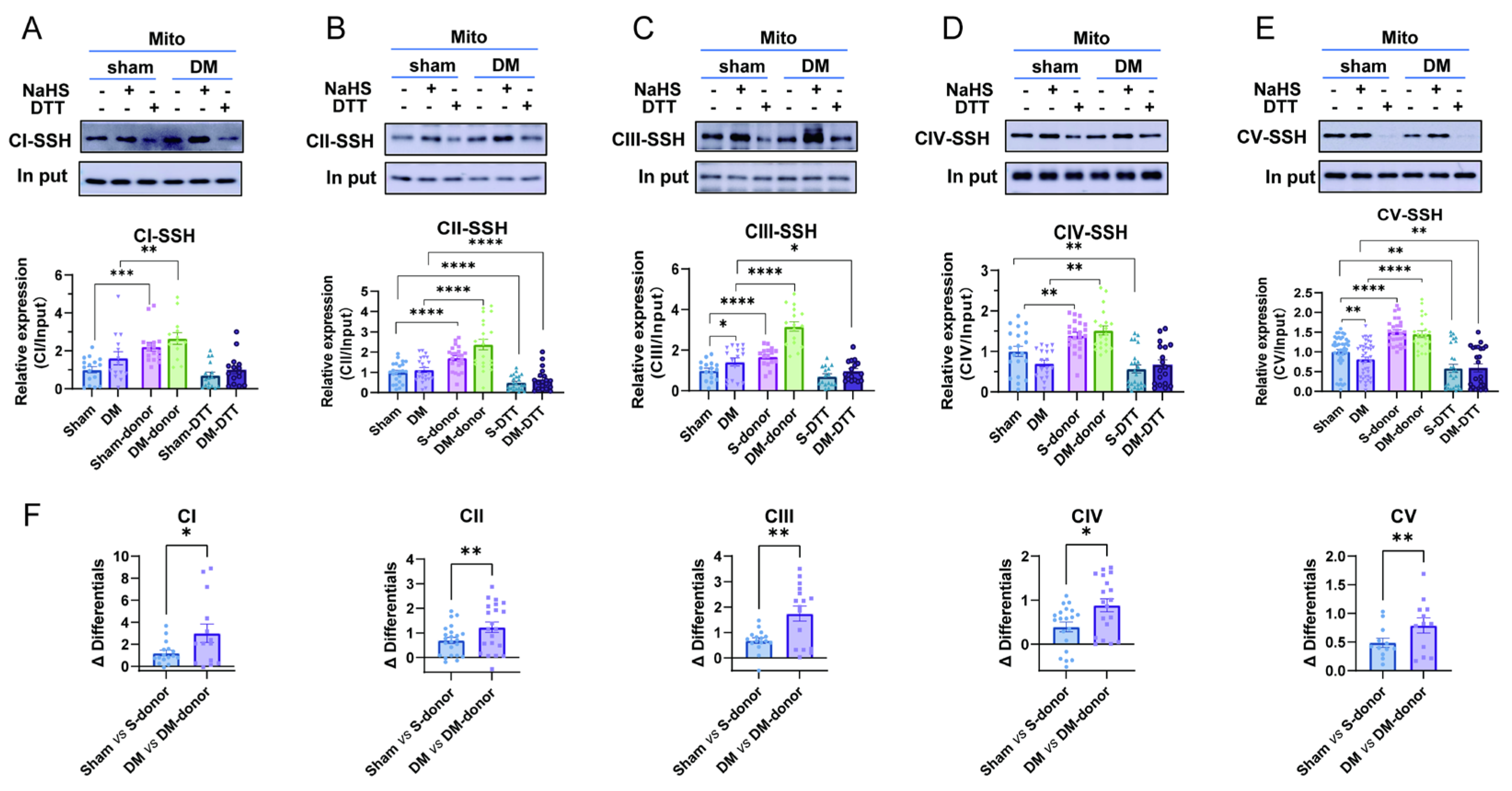 Biomolecules 15 01197 g005 Biomolecules 15 01197 g005