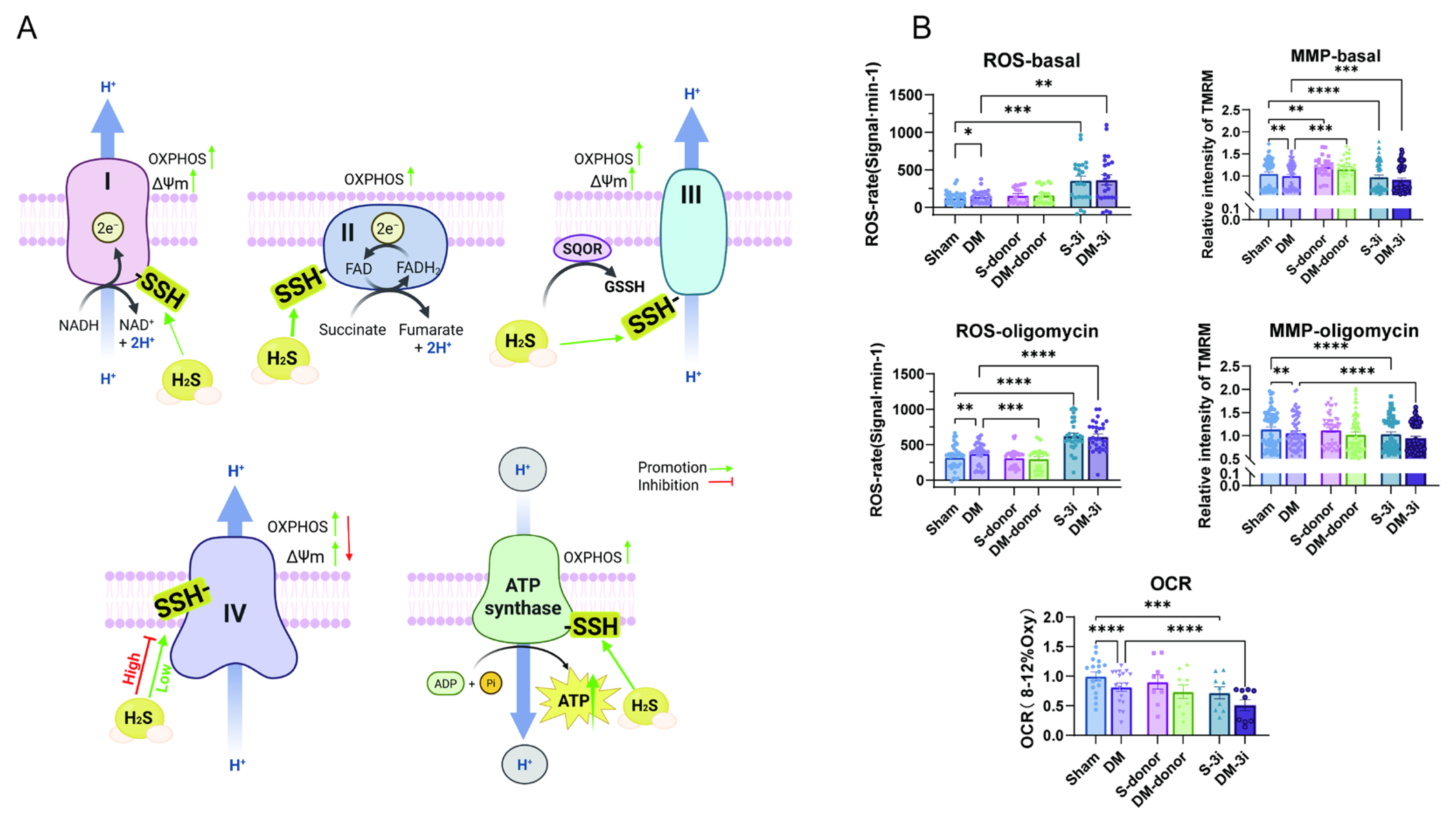 Biomolecules 15 01197 g006 Biomolecules 15 01197 g006