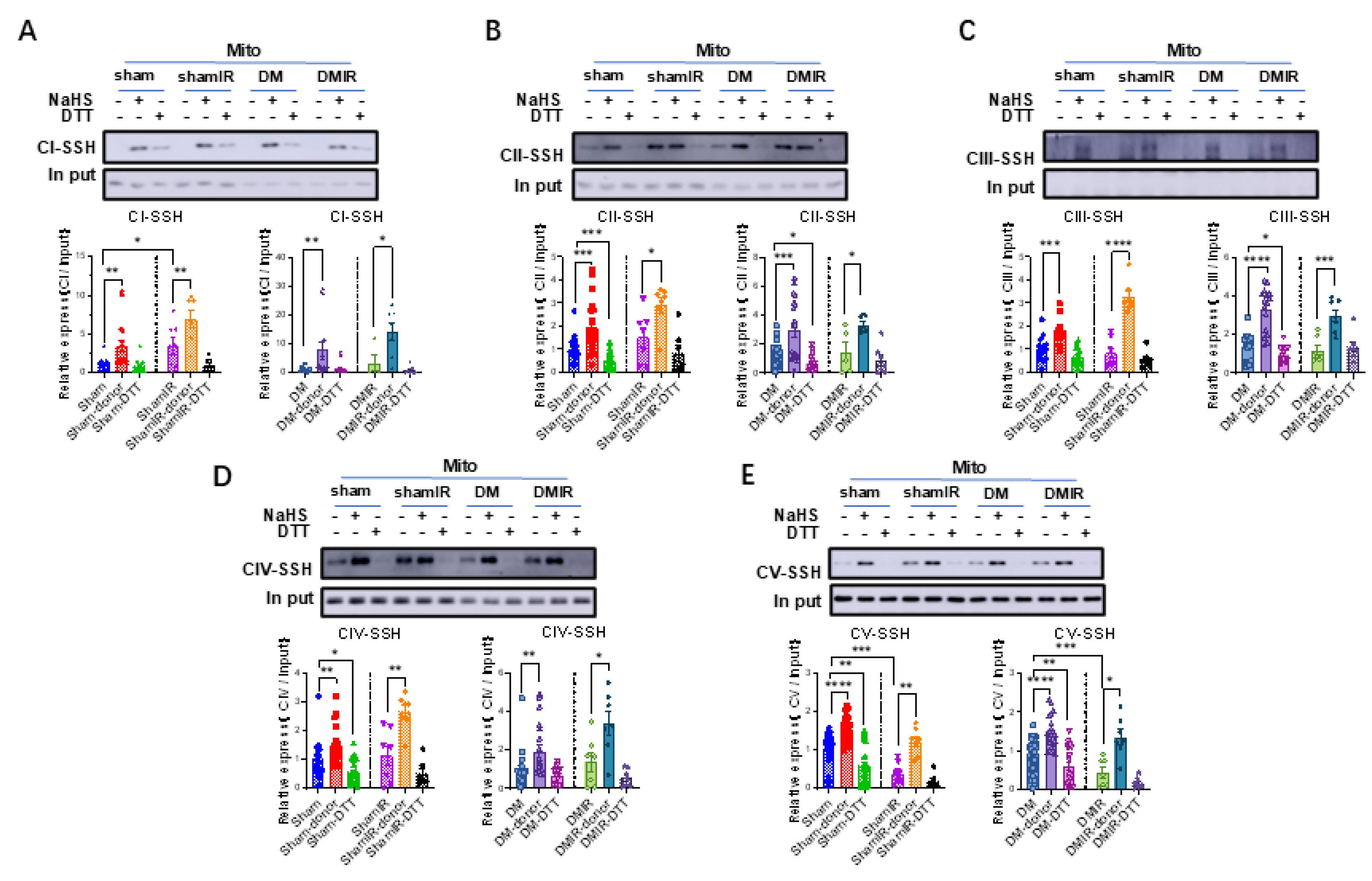 Biomolecules 15 01197 g007 Biomolecules 15 01197 g007