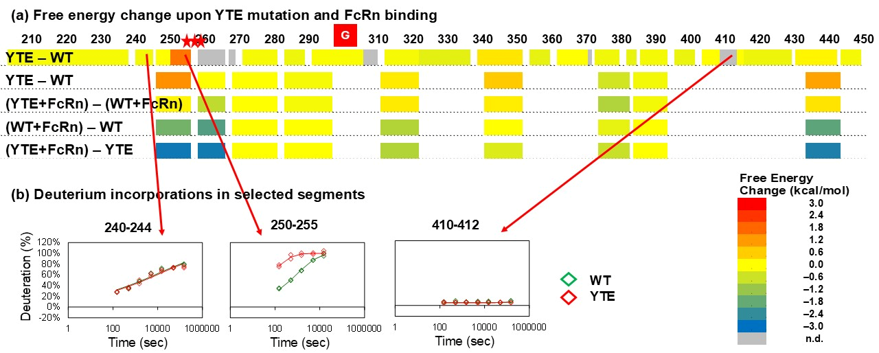 Biomolecules 15 01201 g002 Biomolecules 15 01201 g002
