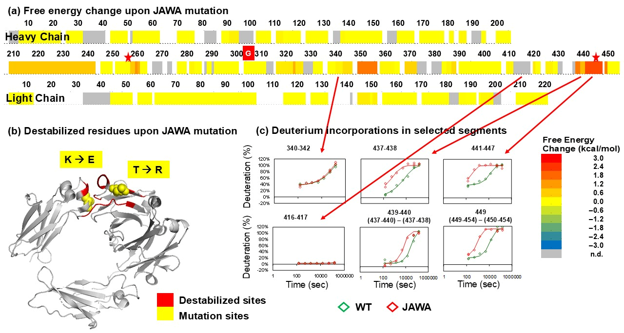 Biomolecules 15 01201 g004 Biomolecules 15 01201 g004